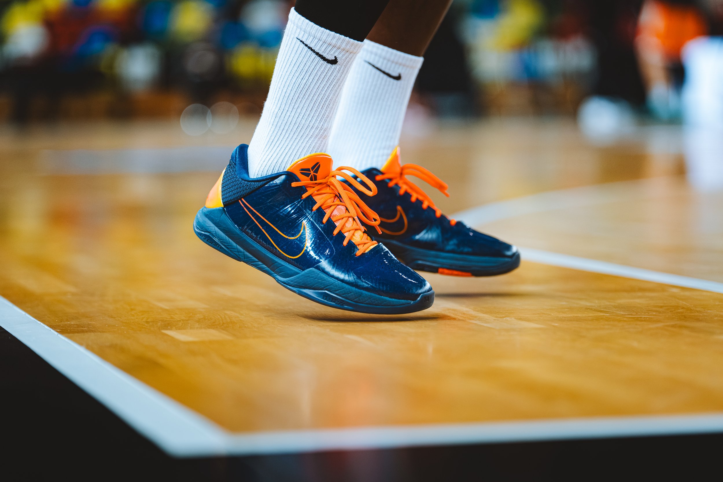 Lions_vs_Ulm - part2-13.jpg