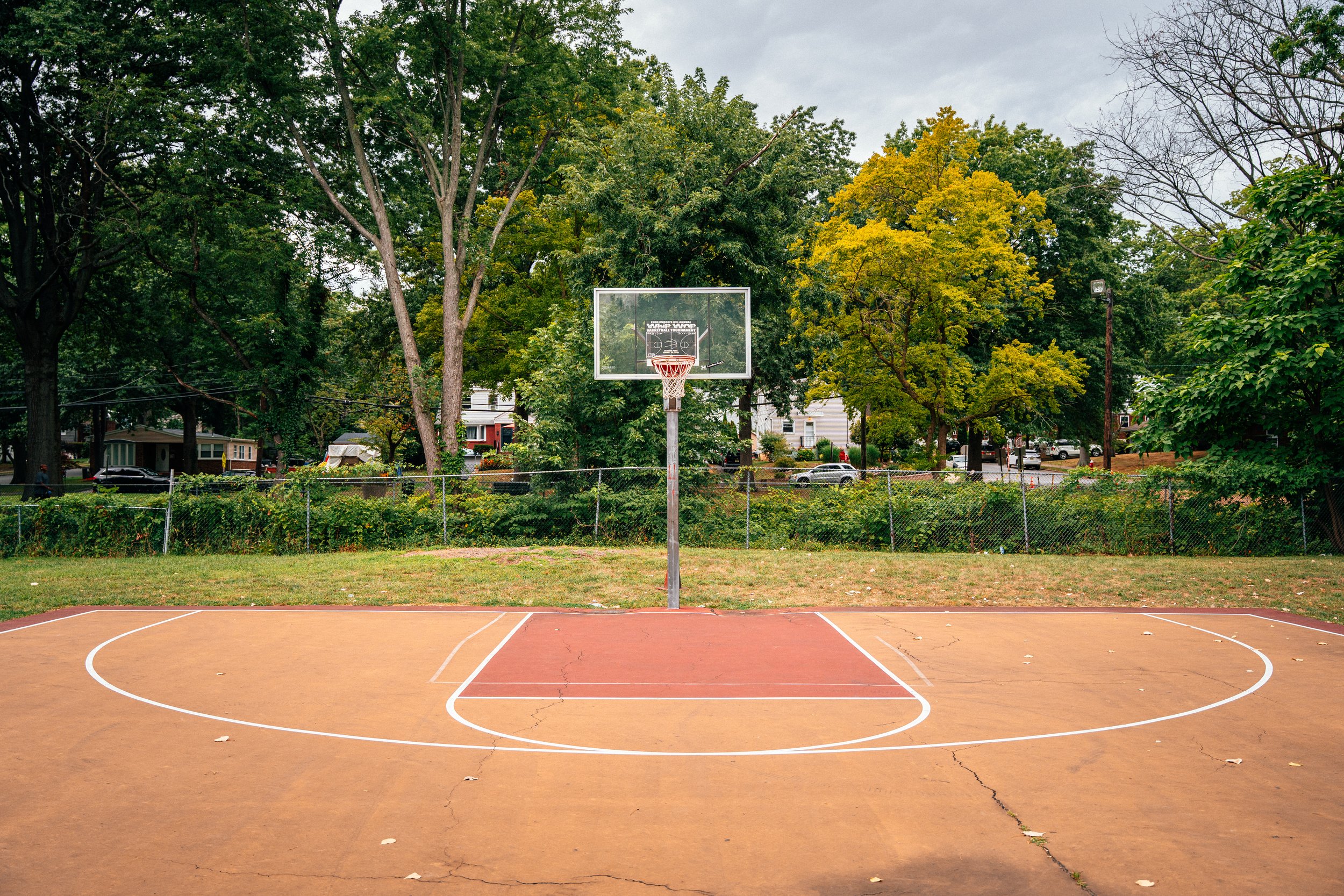 new_jersey_whip_wap-6.jpg