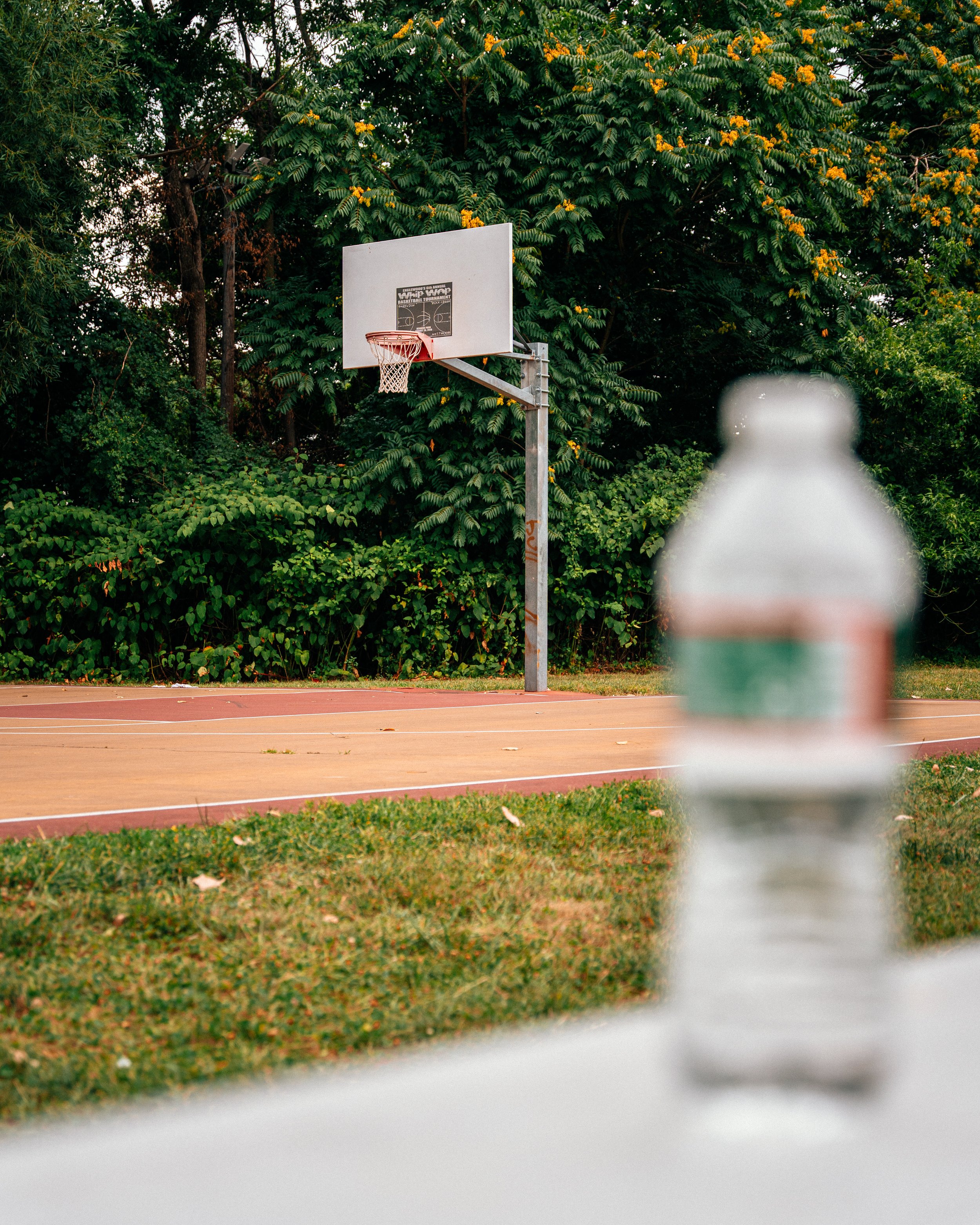new_jersey_whip_wap-12.jpg