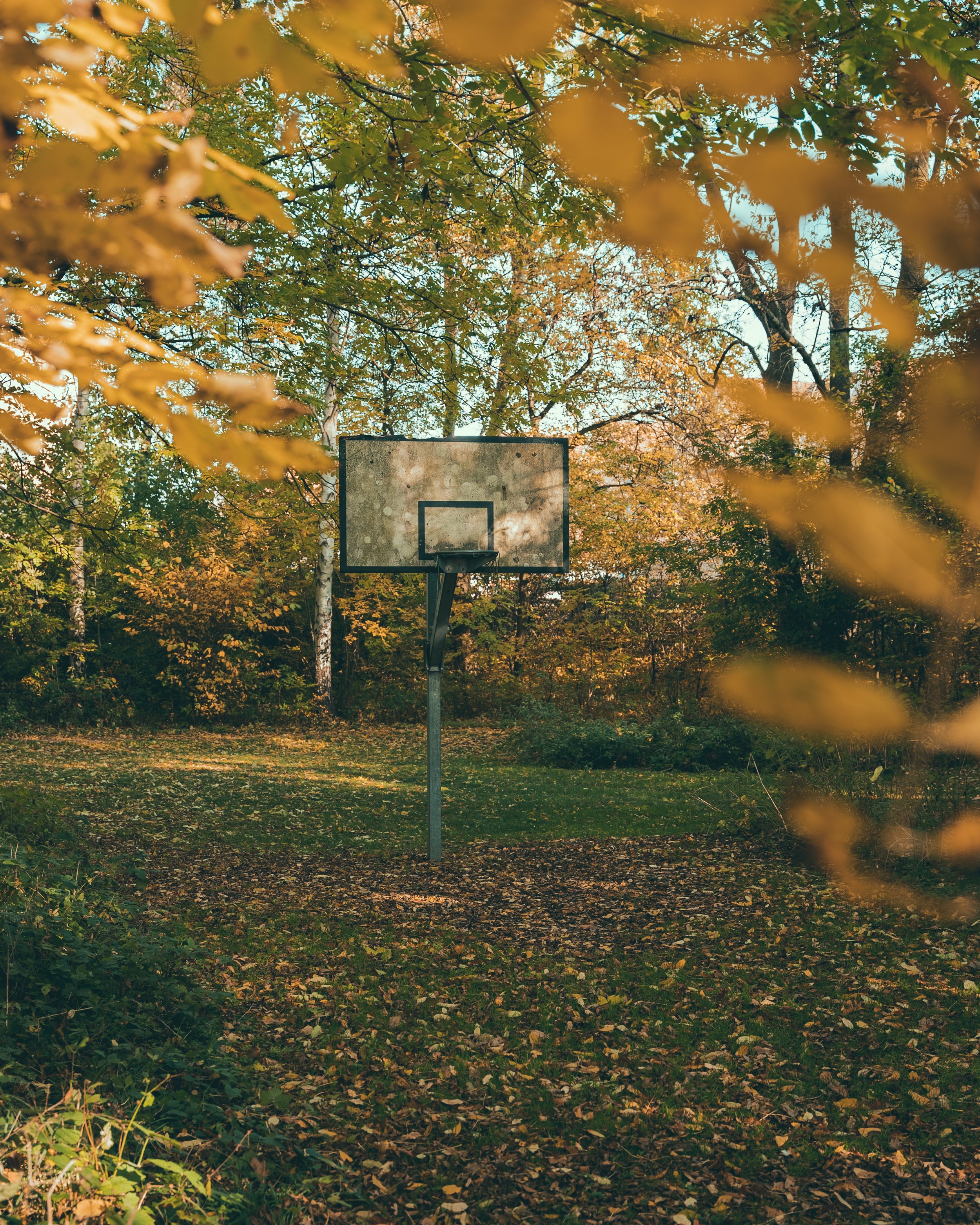 fall_hoop_2.jpg