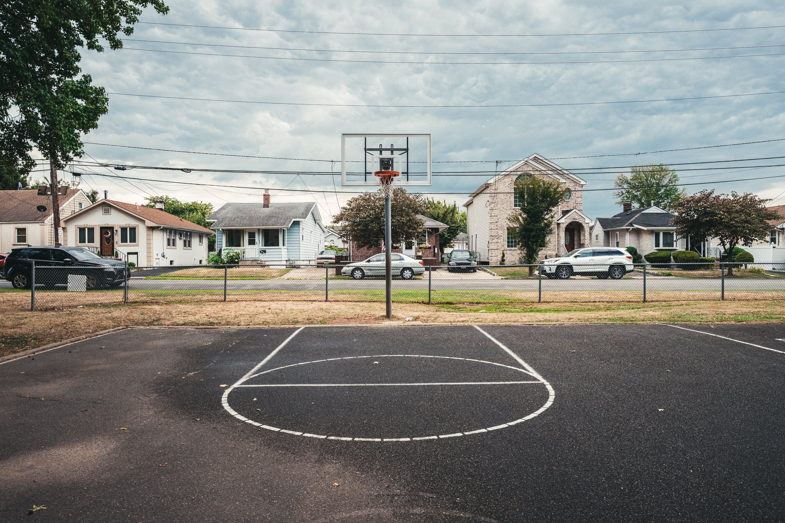 no_dogs_allowed_court-5.jpg