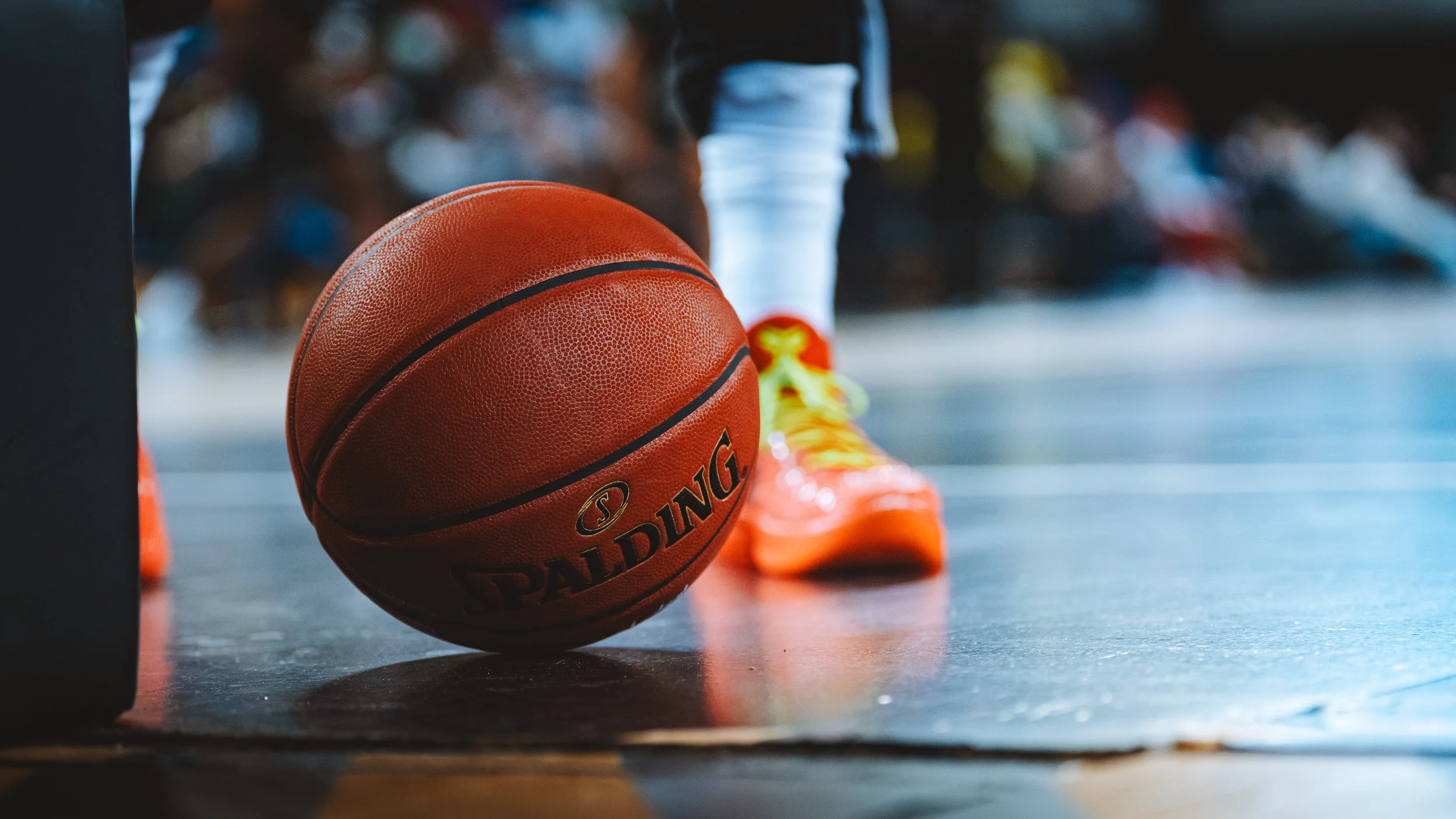 Lions_vs_Ulm - part2-39.jpg