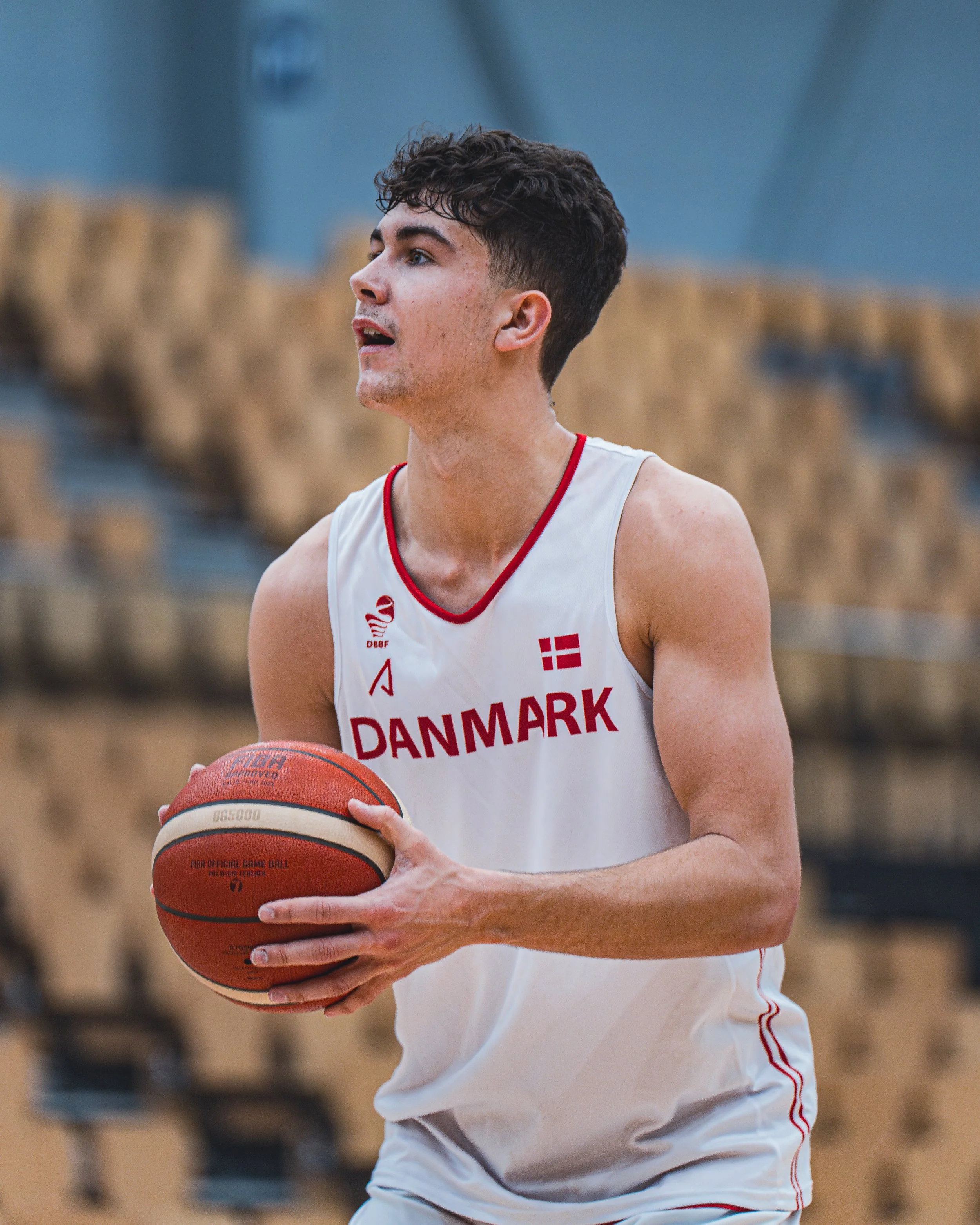 denmark_serbia_ALL-112.jpg
