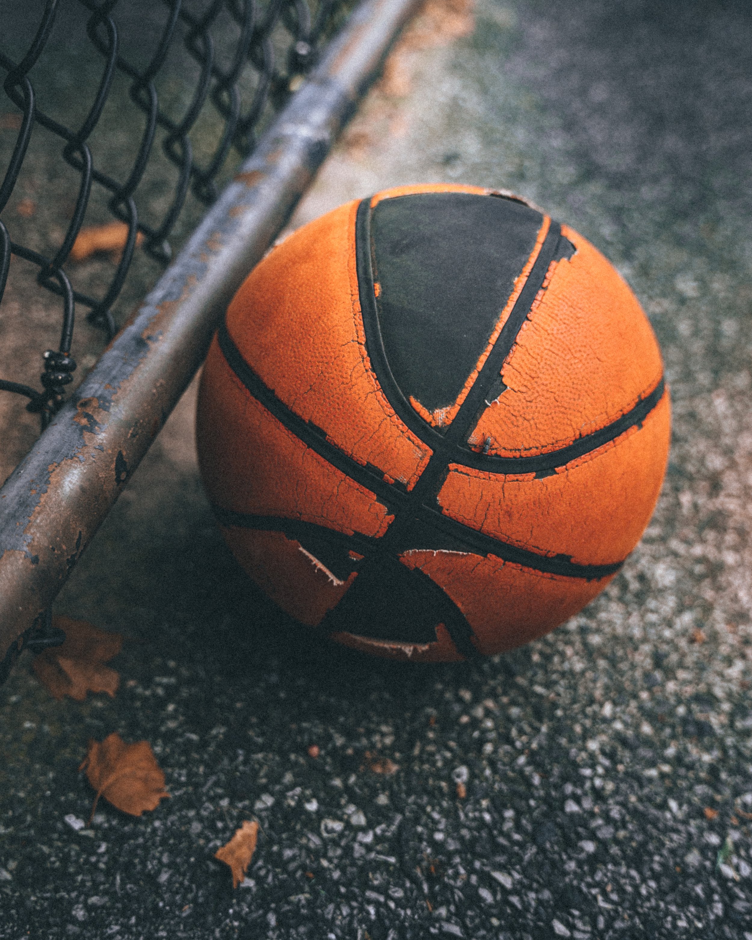 wilson_ball-2.jpg