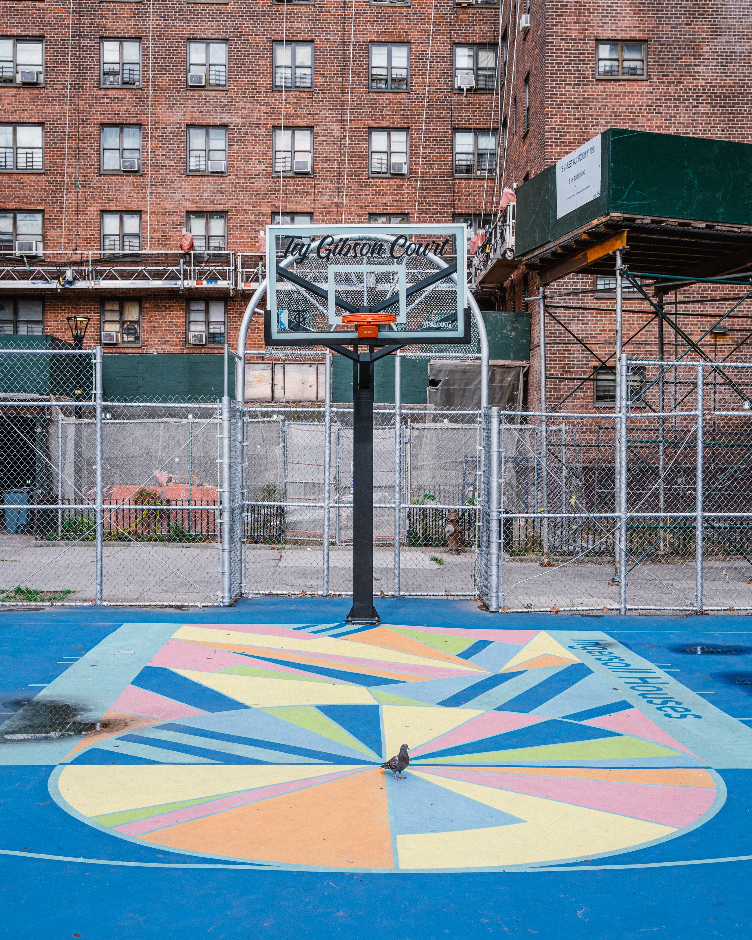 taj_gibson_court.jpg
