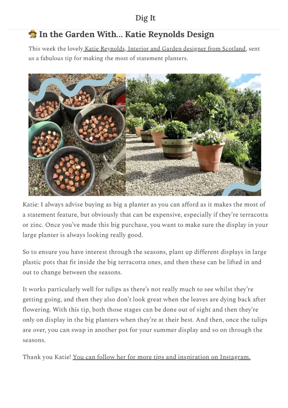 Garden Planter Tip Advice