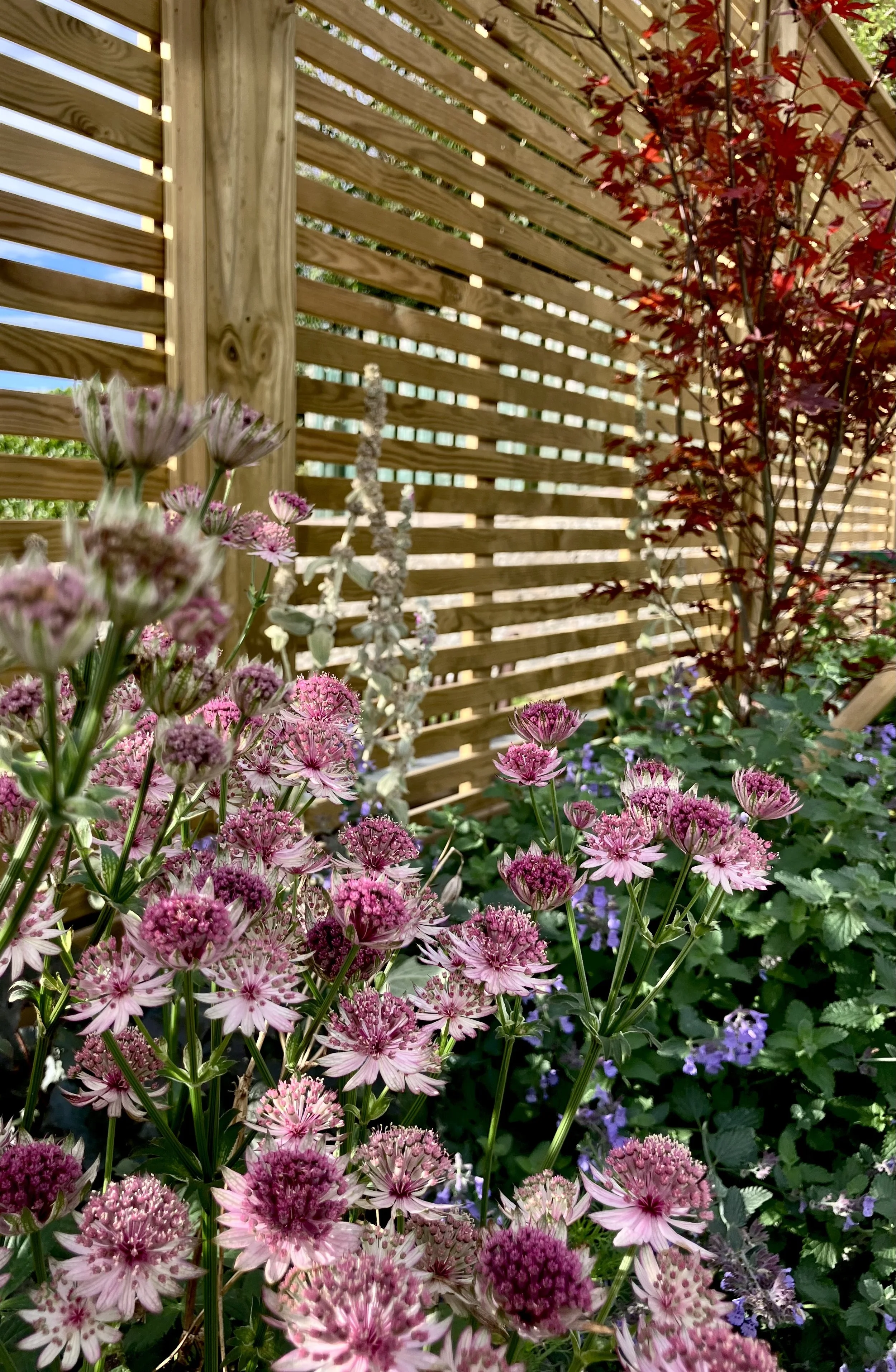 Venetian slatted fence