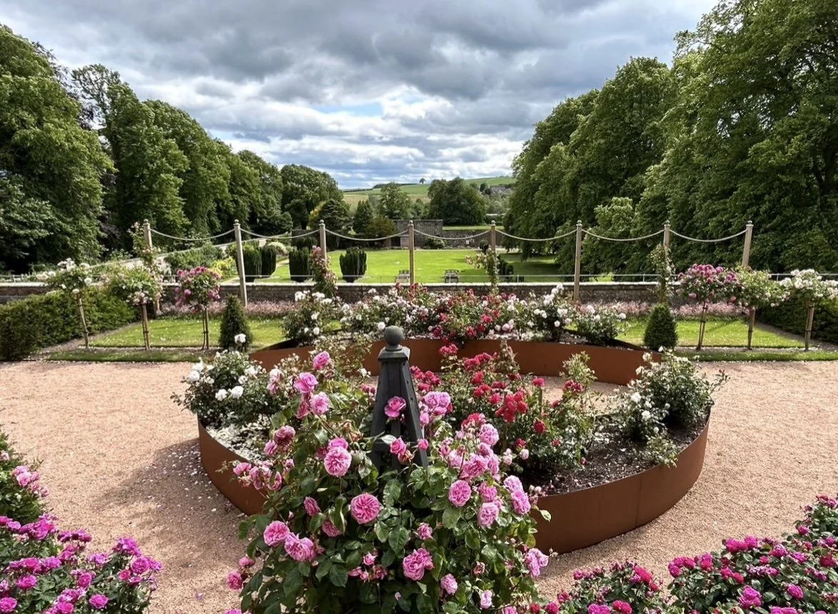 Rose Garden