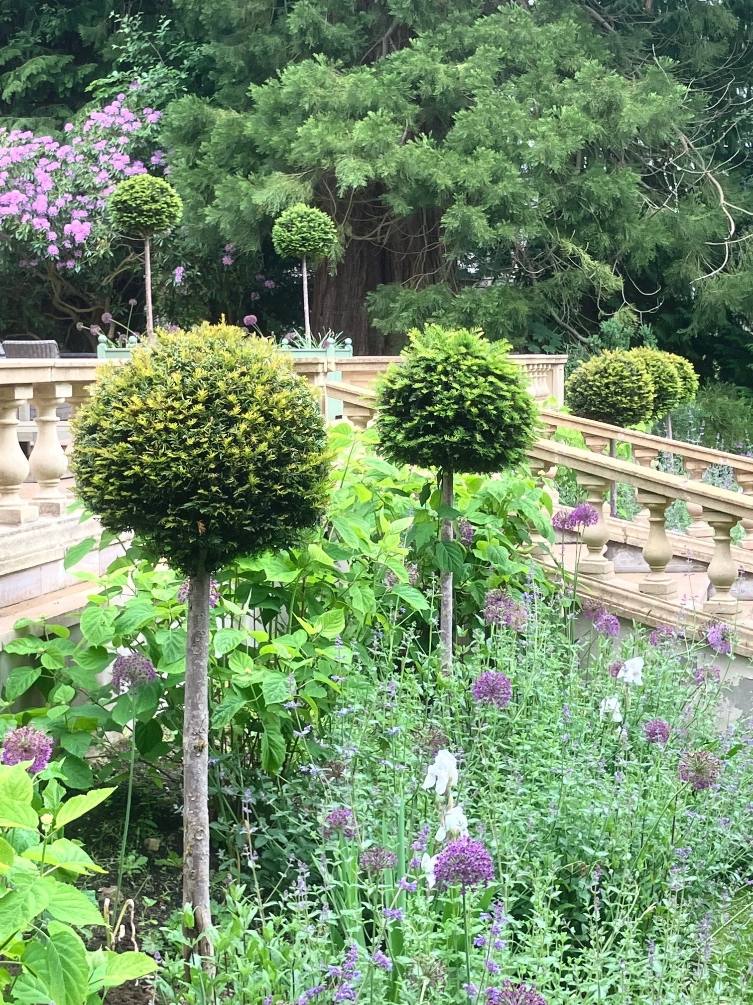 Aberdeen Terrace Garden