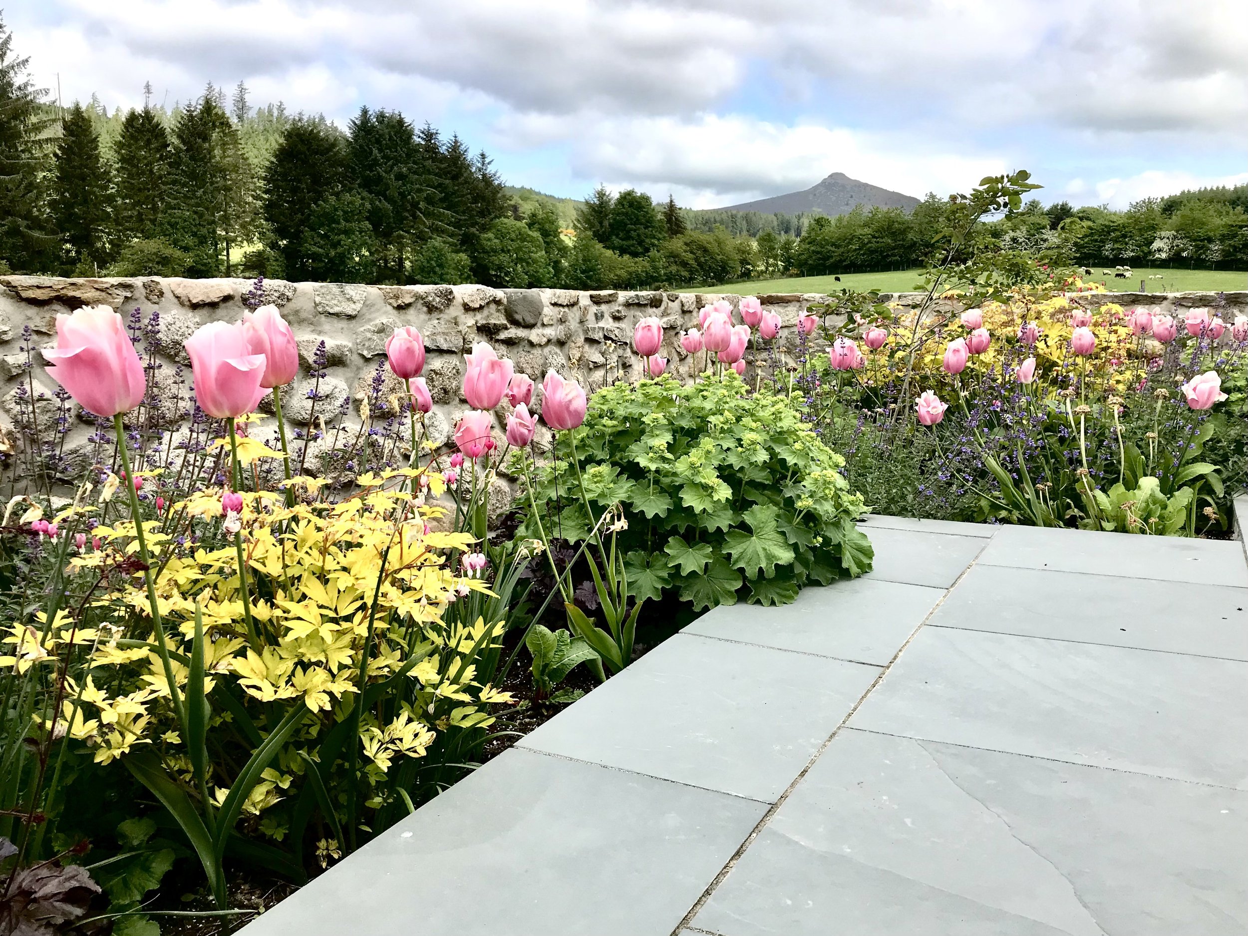 Rural country garden