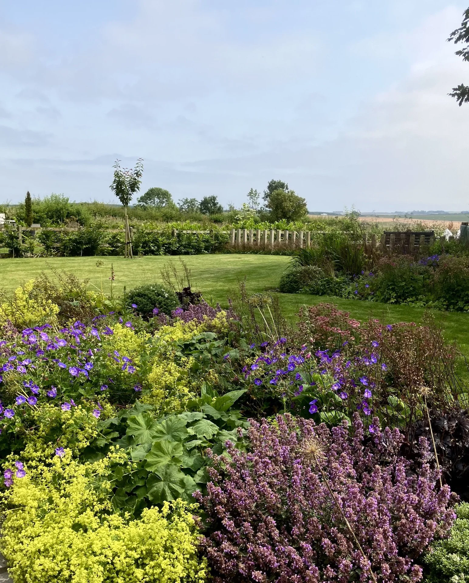 Country garden