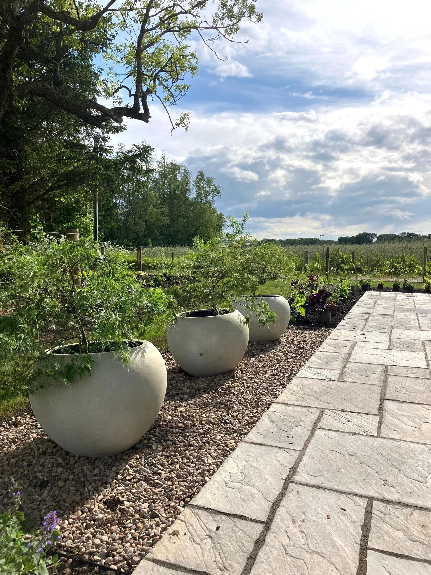 Contemporary country garden pots