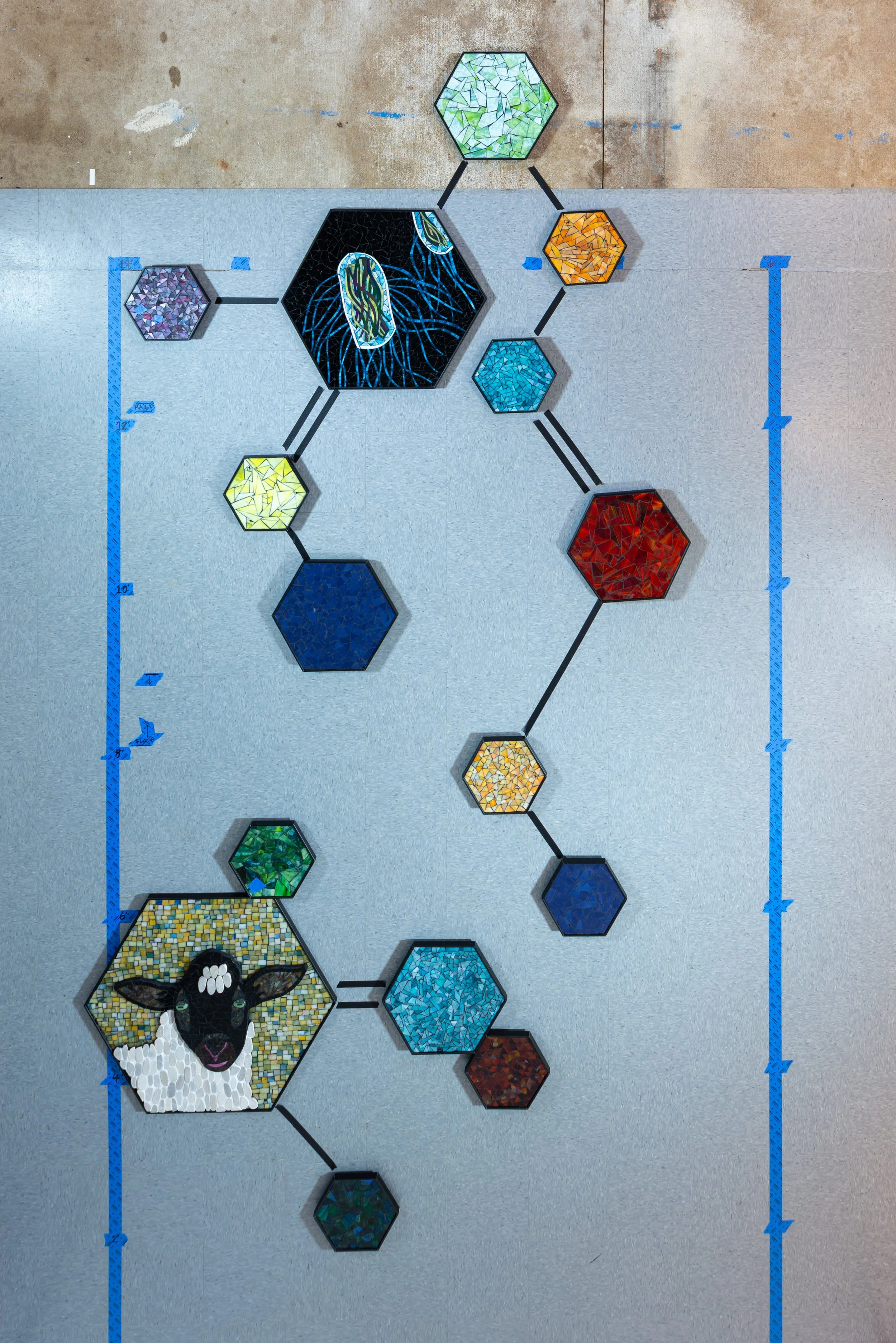 5206-1123.jpg