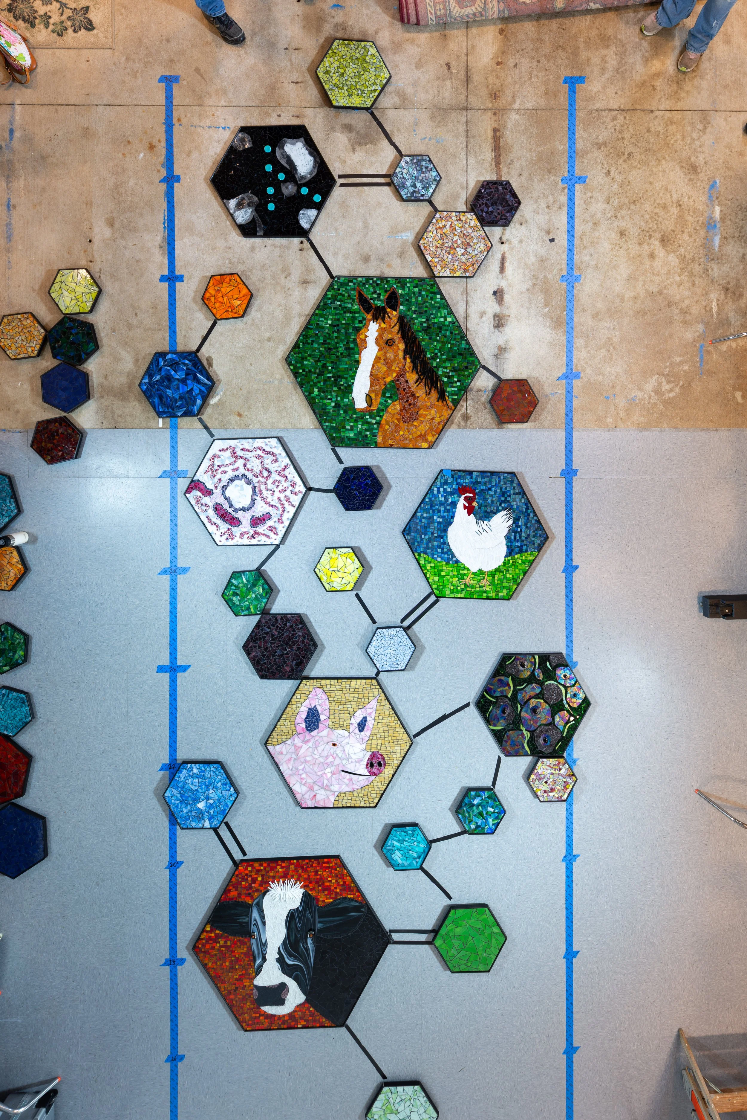5206-1095.jpg
