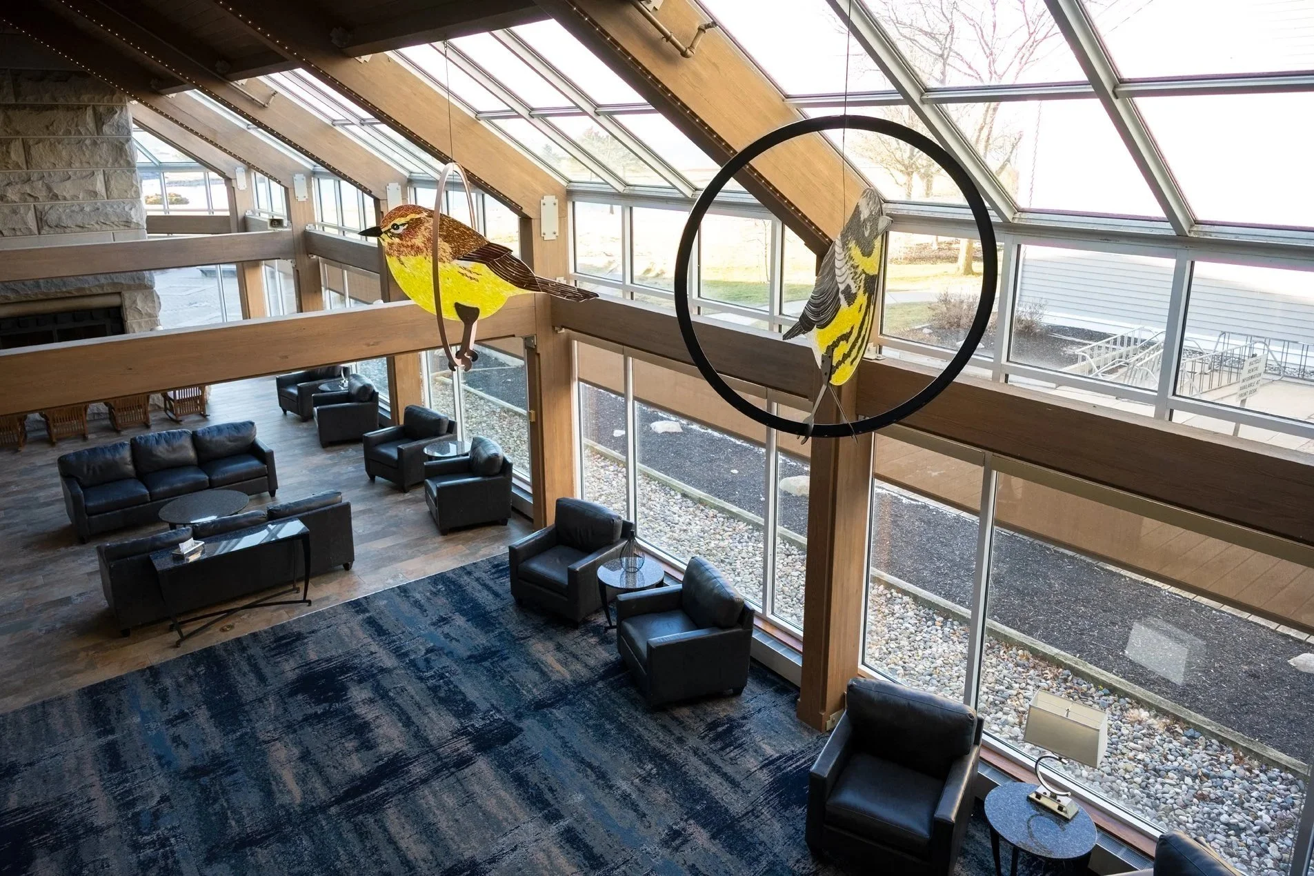 Migration - Maumee Bay State Park