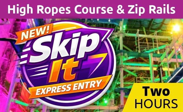Skip It Express Lane Ticket