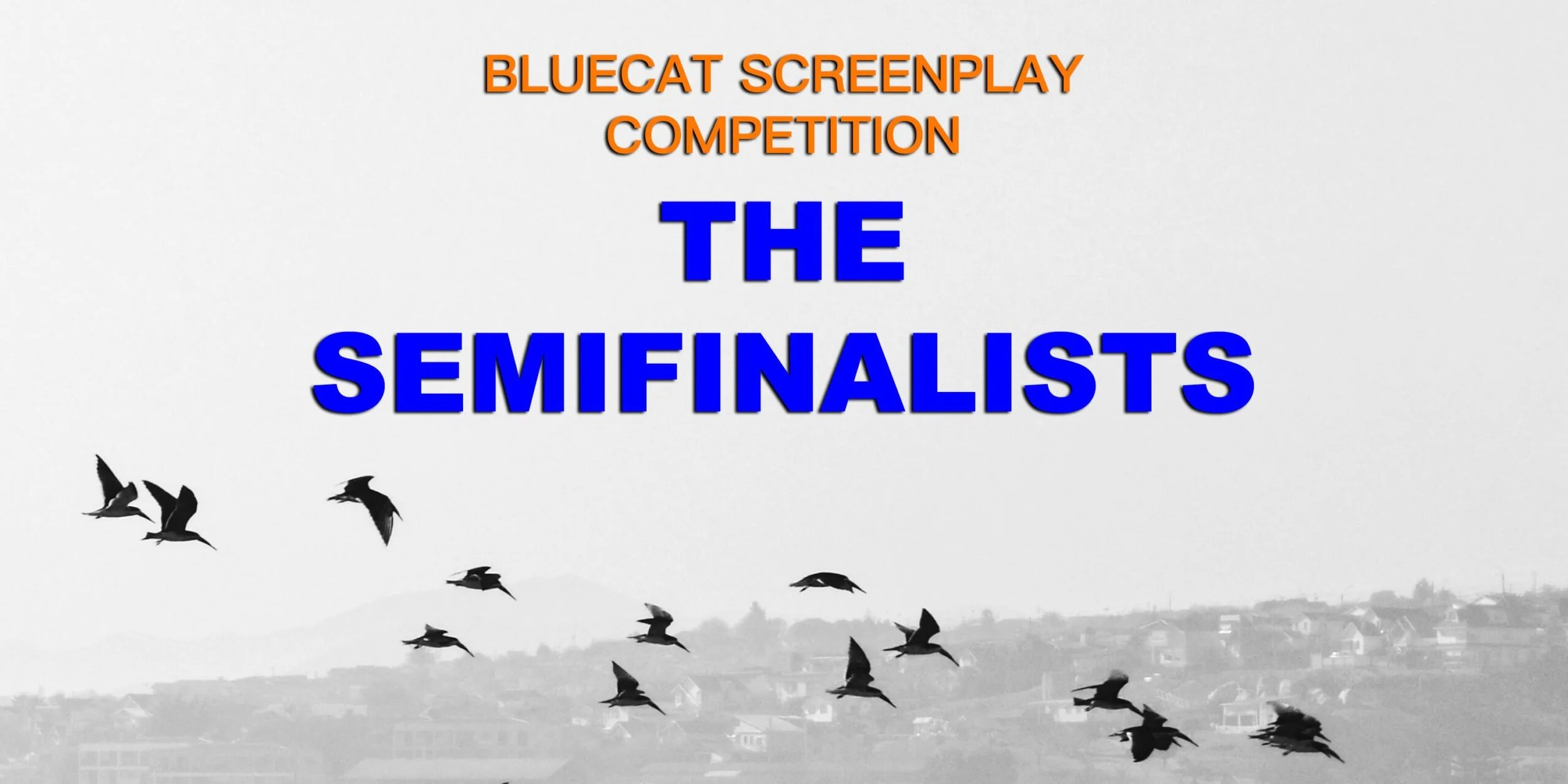BLUECAT SCREENPLAY 2025 Semifinalist (36 out of 785 short film scripts) | THE BLOODY HISTORY OF CHOP SUEY