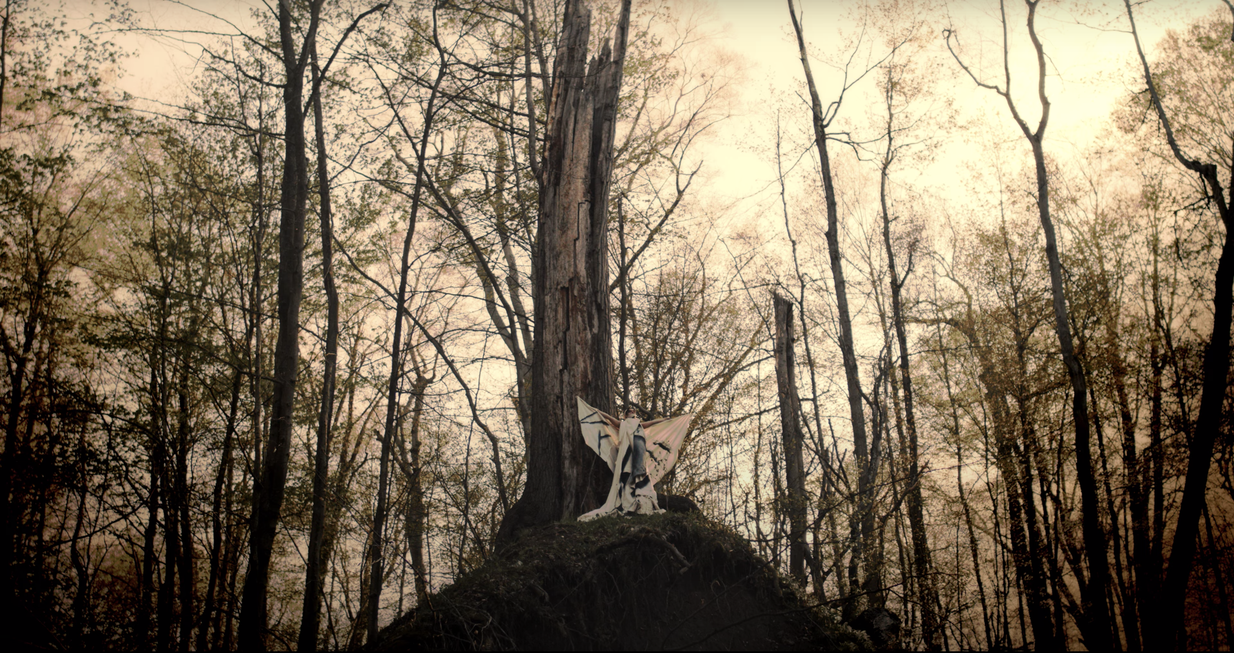 Screen Shot 2021-05-25 at 10.17.08 PM.png