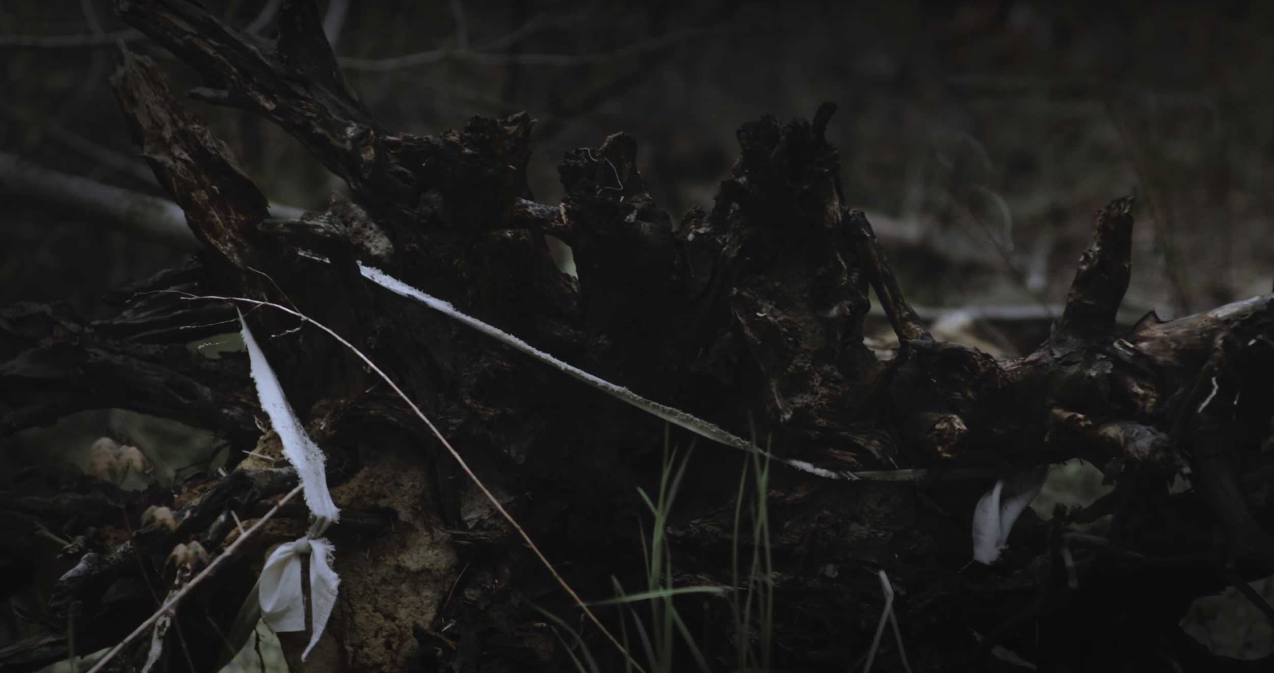 Screen Shot 2021-05-25 at 10.18.44 PM.png