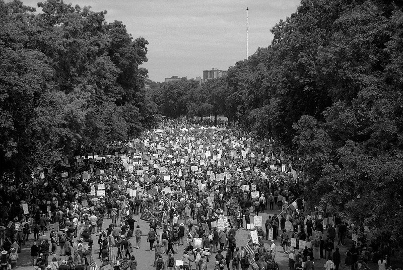 Protestors fill a street lined with trees.