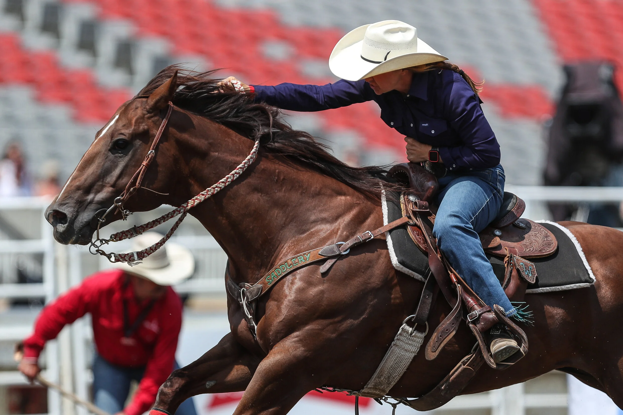 Calgary Stampede Results 2021