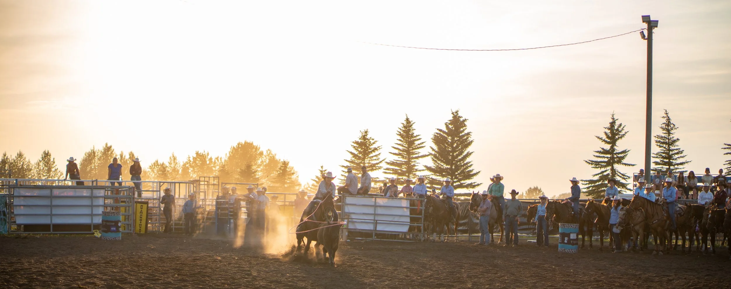 Mikenna Schauer CFR 2022