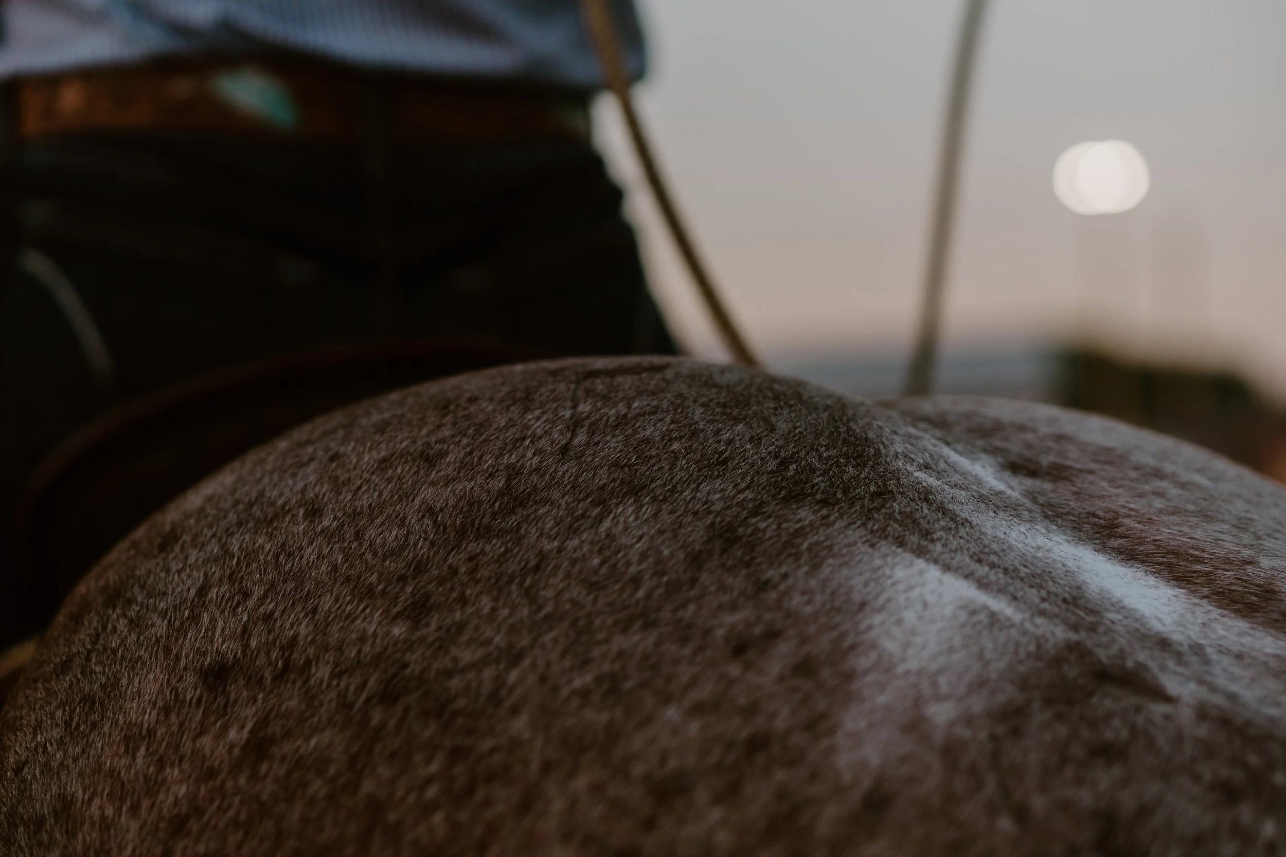 Jenna Dallyn CFR 2022