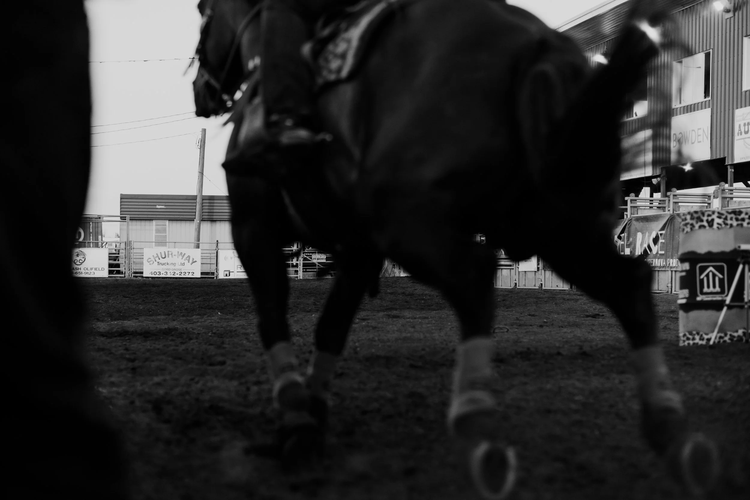 Jade Kenney CFR 2022