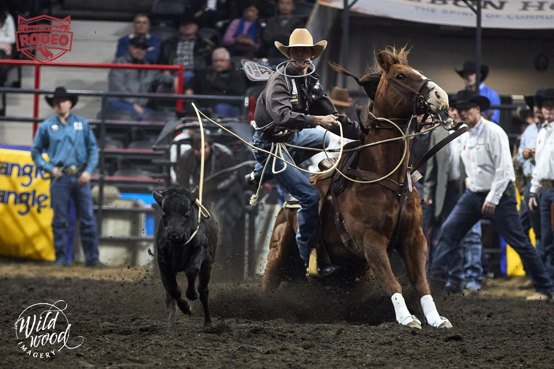 Beau Cooper Enjoys First CFR Victory Lap