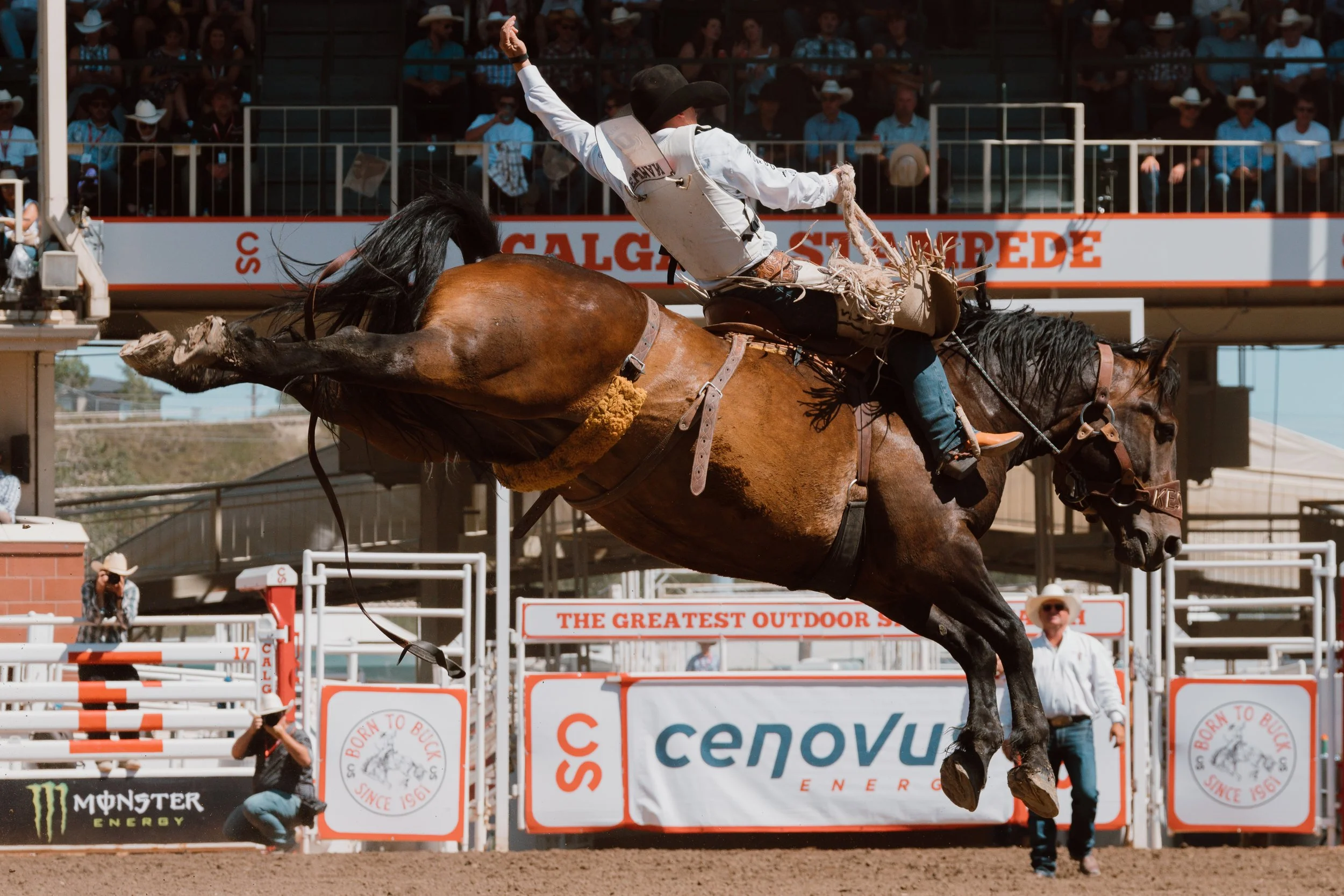 2025 Pool B Calgary Stampede Results