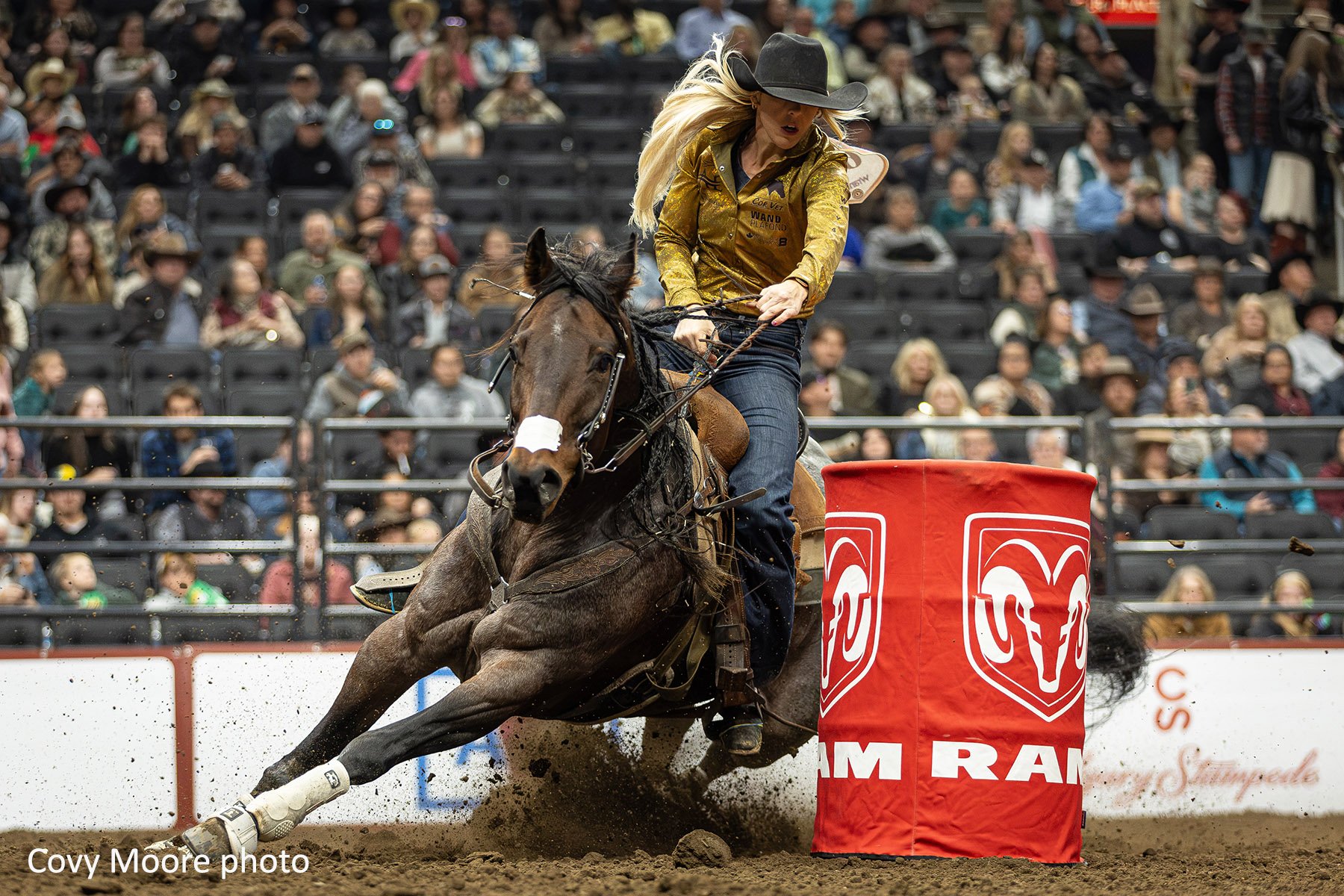 2026 Champions Declared at 52nd Canadian Finals Rodeo
