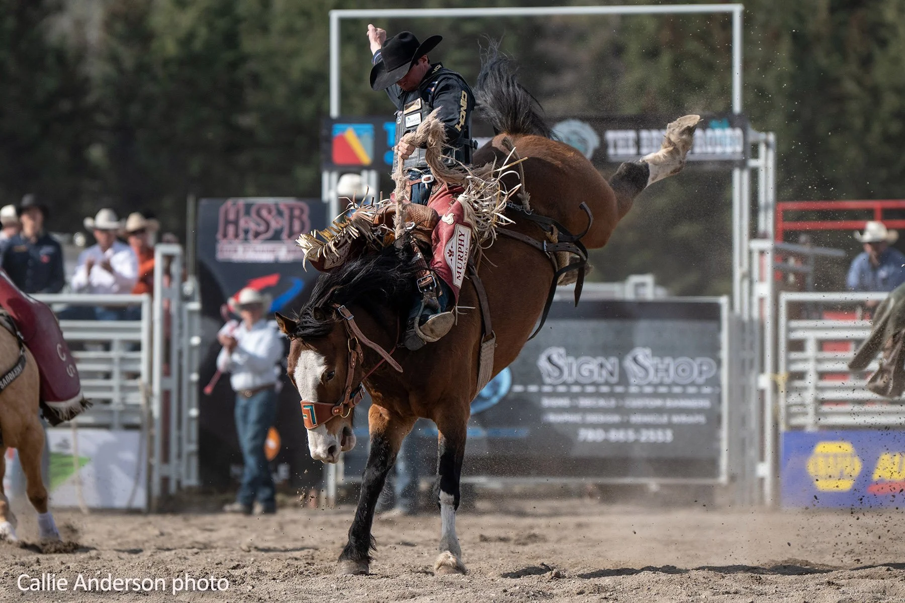 Standings Jump For Bronc Rider Layton Green
