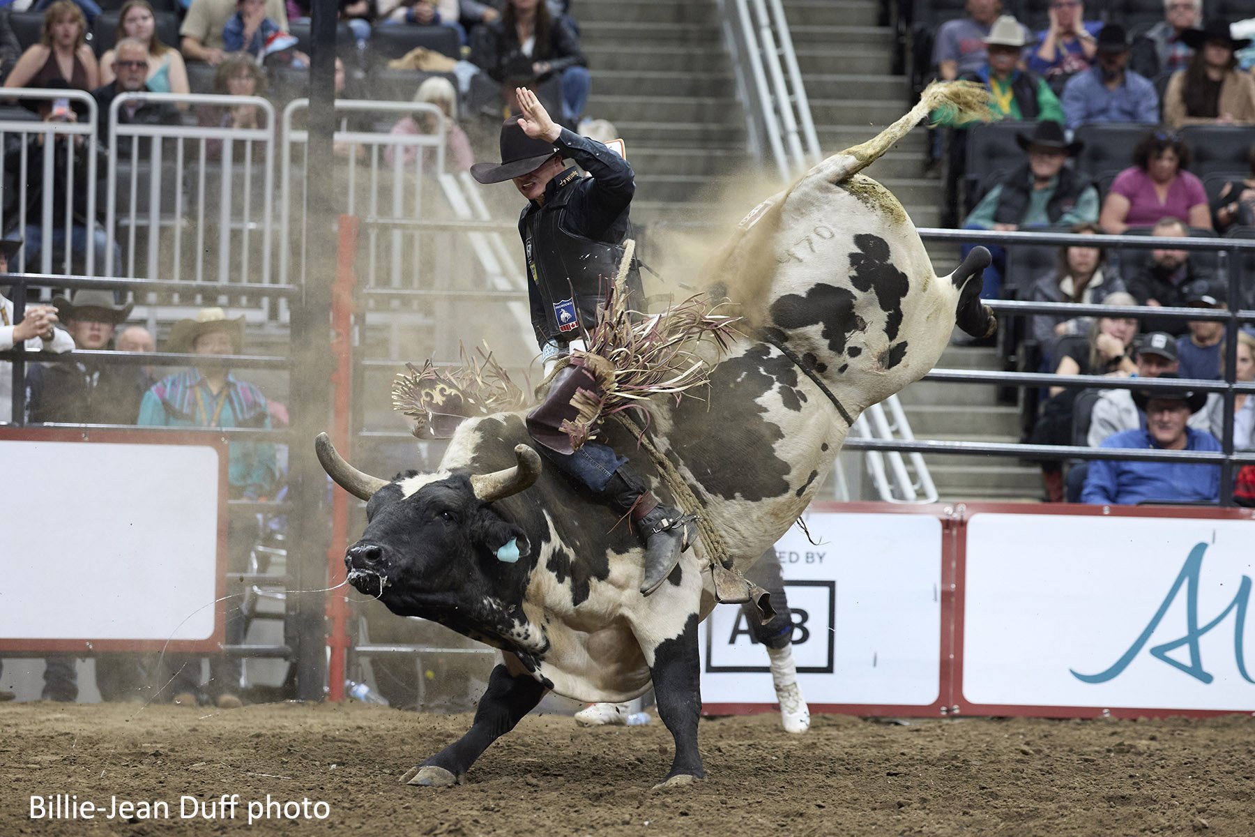 Grady Young Leads Big Movers at CFR Night One