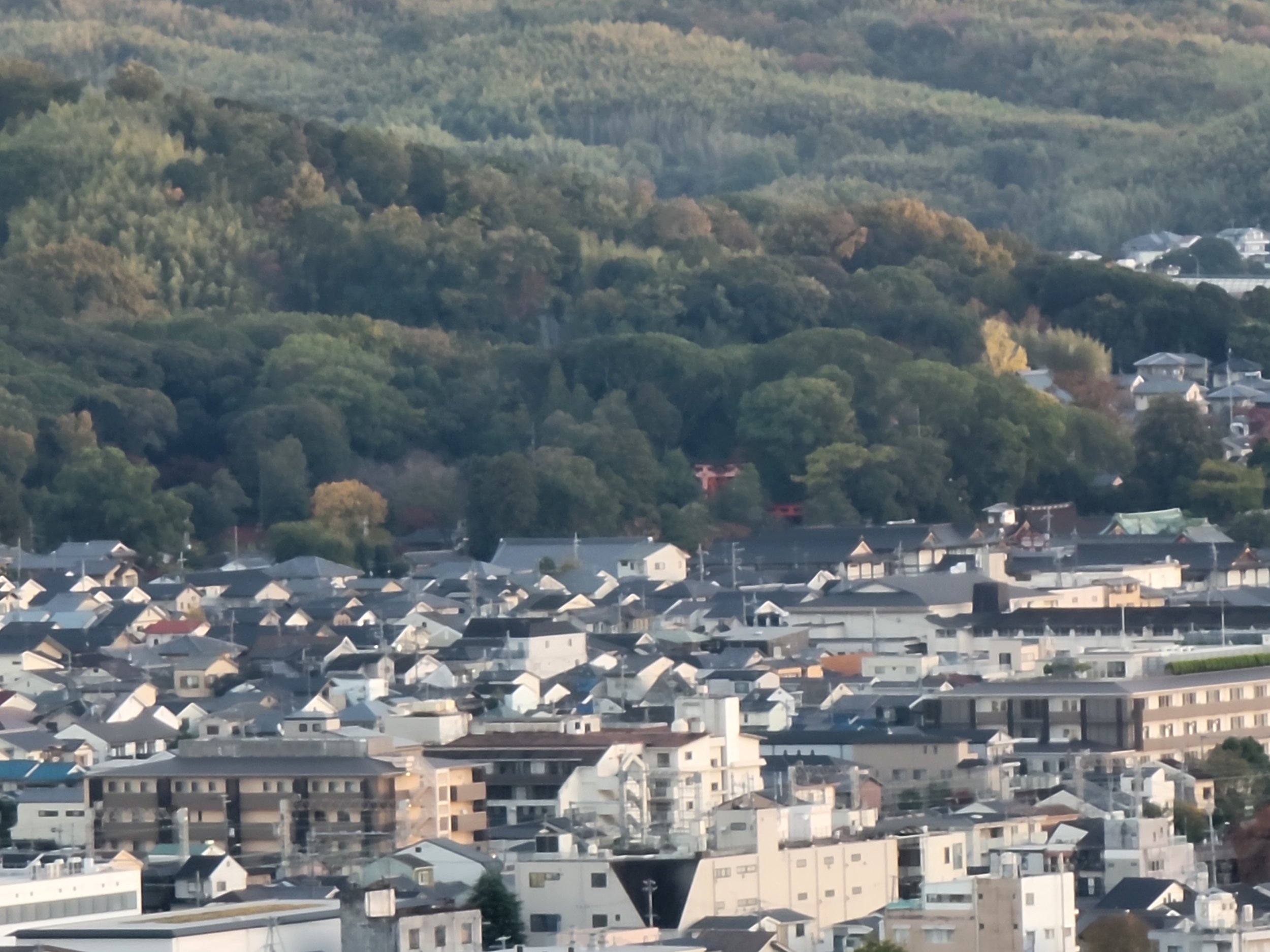 The view of Fushimi Inari Taisha from Kyoto Tower.  You can see a whopping 2 of the thousands of torii and just a part of the main shrine on the far right.