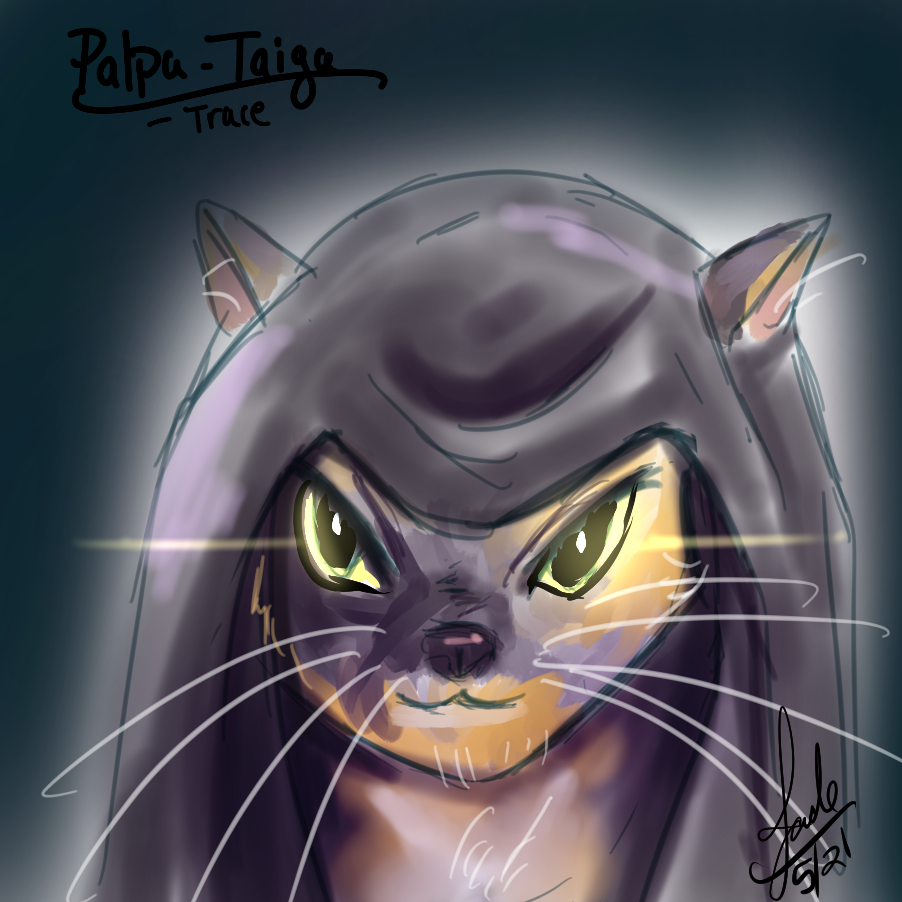 sith taiga - trace.png