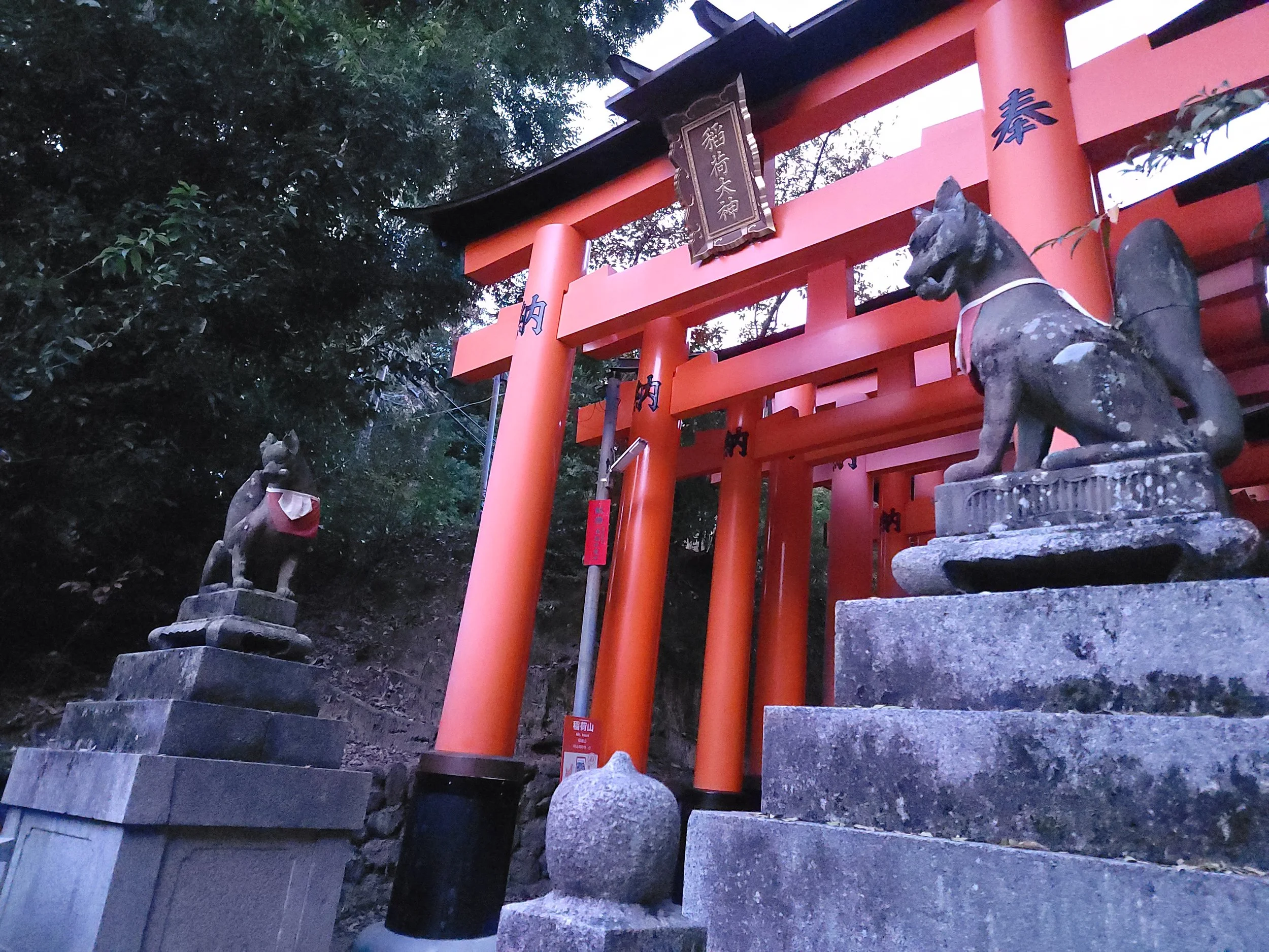 Inari statues framing the next set of torii going up the mountain, following the main loop.  Older, weather worn, but still well maintained.