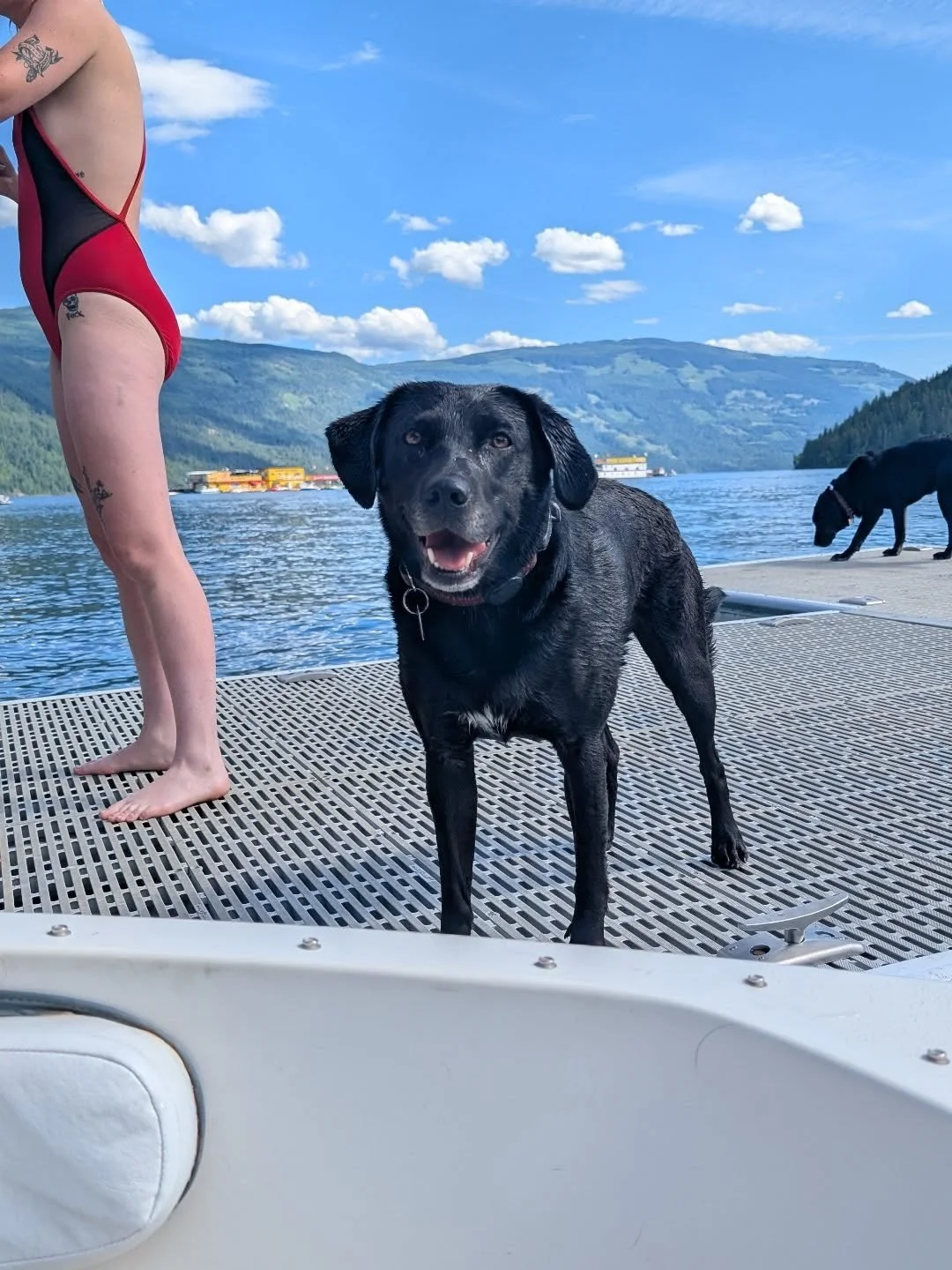WE ARE HAVING A STAFF PARTY.

Georgia the happiest lake dog wanted you all to know that our status is officially Out Of Office for today and tomorrow (Aug 31 &amp; Sept 1). We will be sipping beers and floating on the lake, and Georgia thinks this is