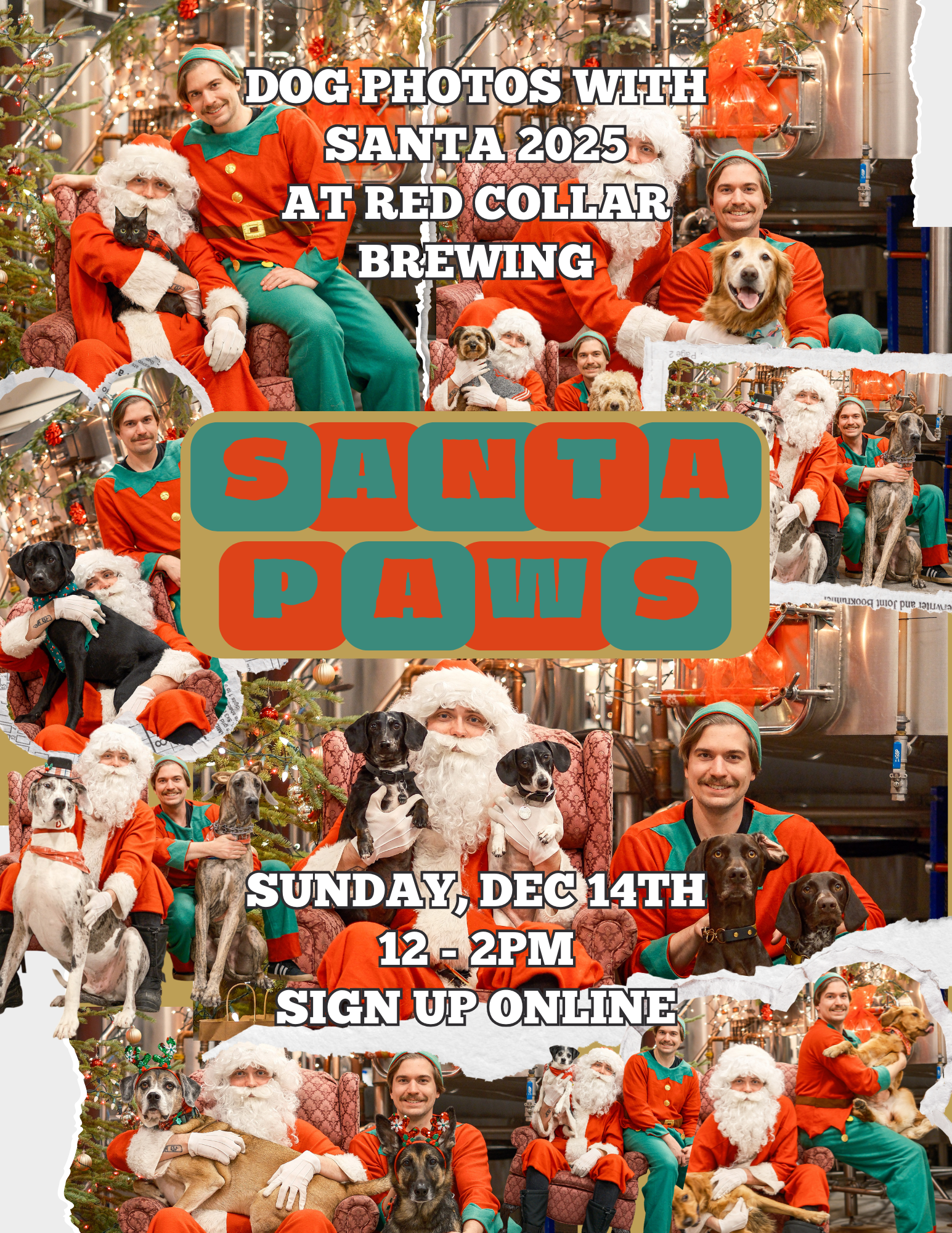 Dog Photos with Santa Paws 2025
