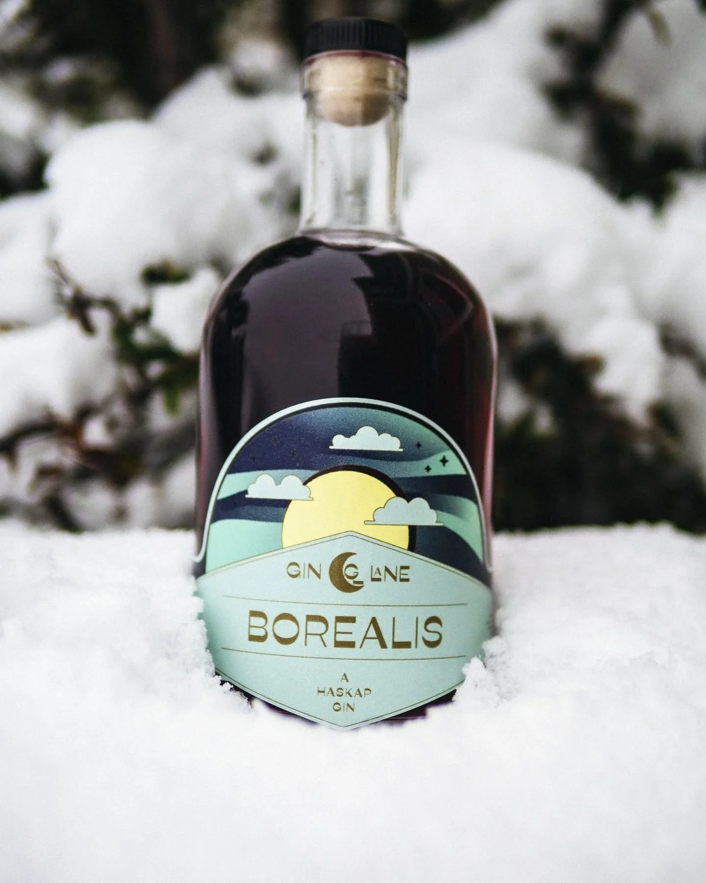💫 COUNTDOWN TO CHRISTMAS SPECIALS 💫

We are counting down to Christmas different deals and specials every week until we make it to the big day!

This week save $5 on 750ml bottles of Borealis, and $2 on 375ml bottles! This gorgeous spirit makes a b