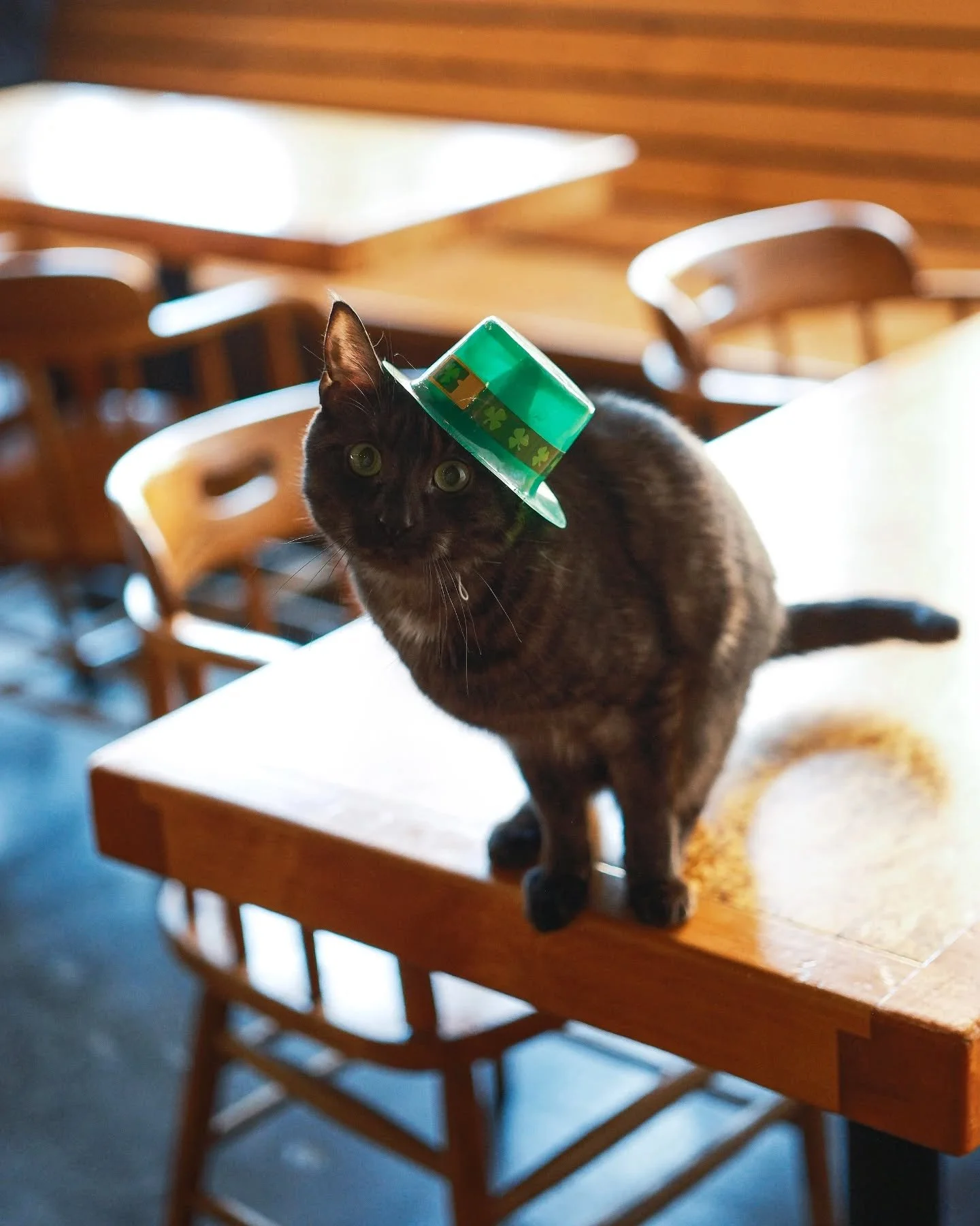 St. Paddy's Shenanigans 🍀.

We are celebrating St. Patrick's Day a little early this year with a wee "warm-up", a "pre-game" if you will. Join us this Friday, March 13th, for cask ales, Lucky Charms Shafts, Beer Braised Brisket B