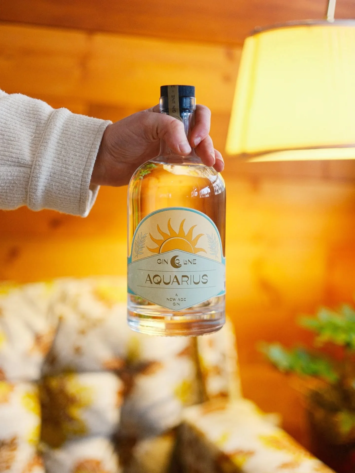 Sun's Out, Gins Out. (Right??)

This beautiful spring is basically begging for a delicious gin cocktail. Come by and let us make you one or pick up a bottle of Aquarius and make one at home! 

Bottles of our craft gin are available in private liquor 