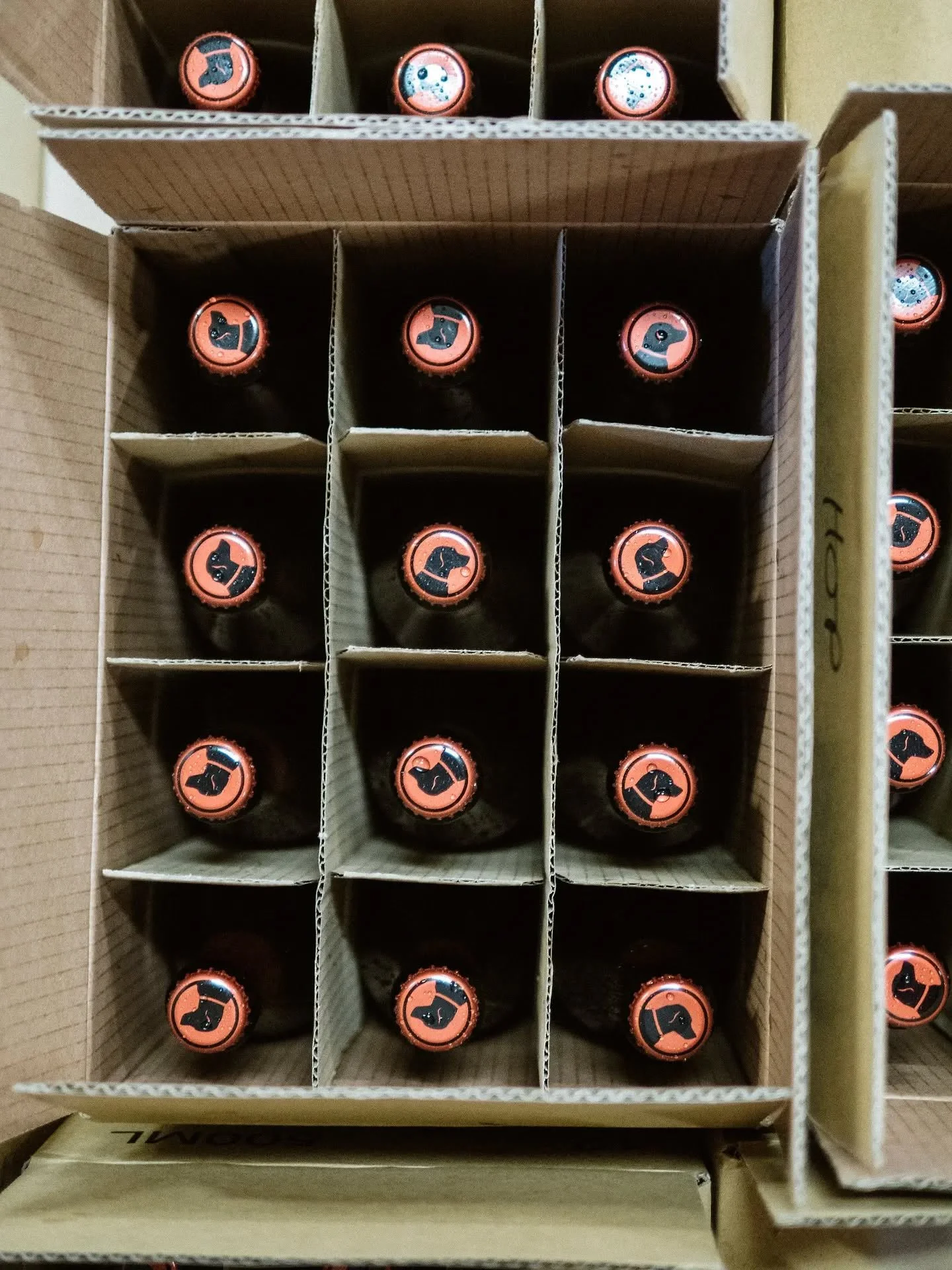 THANKSGIVING BOMBER MIXED PACKS 🦃🍻

Do you need a Thanksgiving potluck contribution? Don't worry, we have you covered!

This weekend you can grab a mixed 12-pcck of bombers for just $60!* Packs include Squash Gourdon, M&auml;rzen Lager, Mr. Bloggin