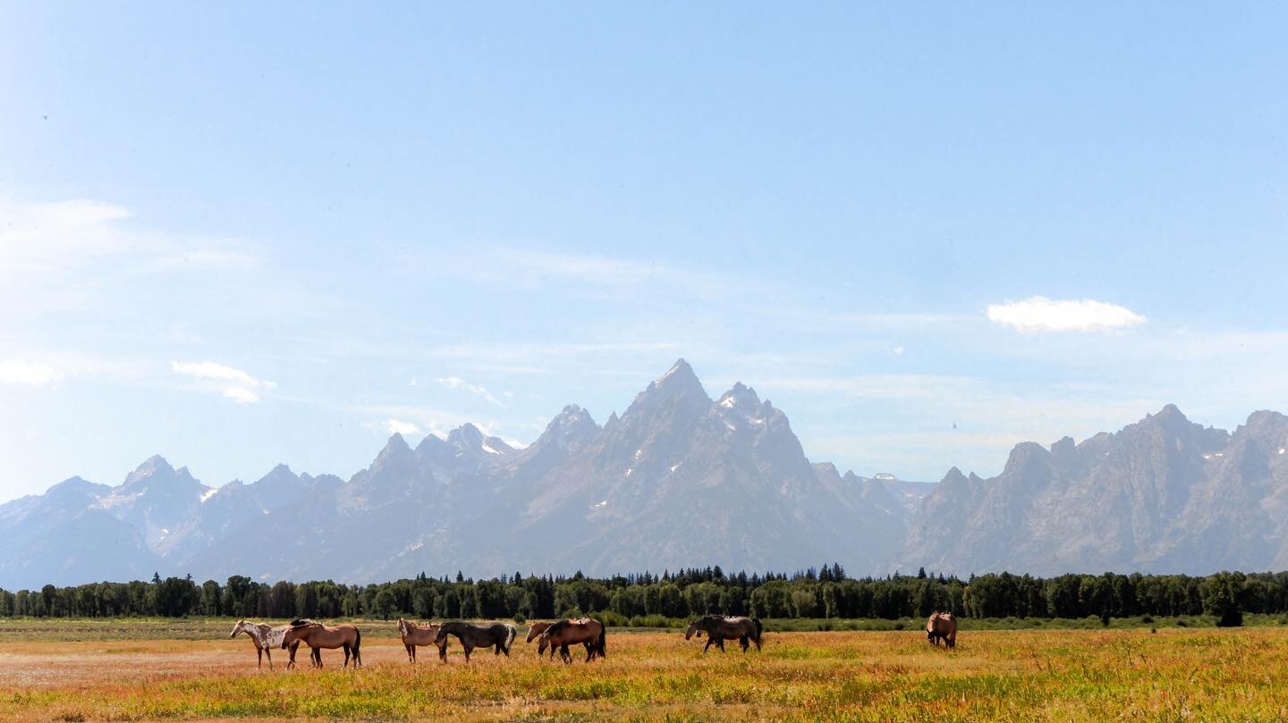 cowboy like me

feeling really uninspired recently so here&rsquo;s an old photo of the Teton Range in Wyoming. i miss the excitement of jumping in my car to drive around &amp; find something beautiful to photograph, that&rsquo;s one of my favorite th