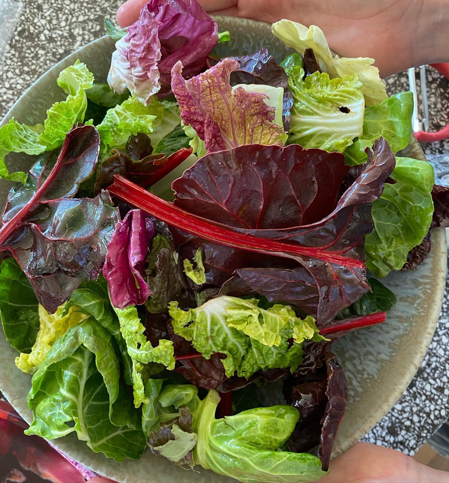 The most beautiful greens mix from @radgrowers that we topped with olive oil, lemon juice and S&amp;P to serve with the incredible @ottolenghi Prawn Bolognese we made today 💛