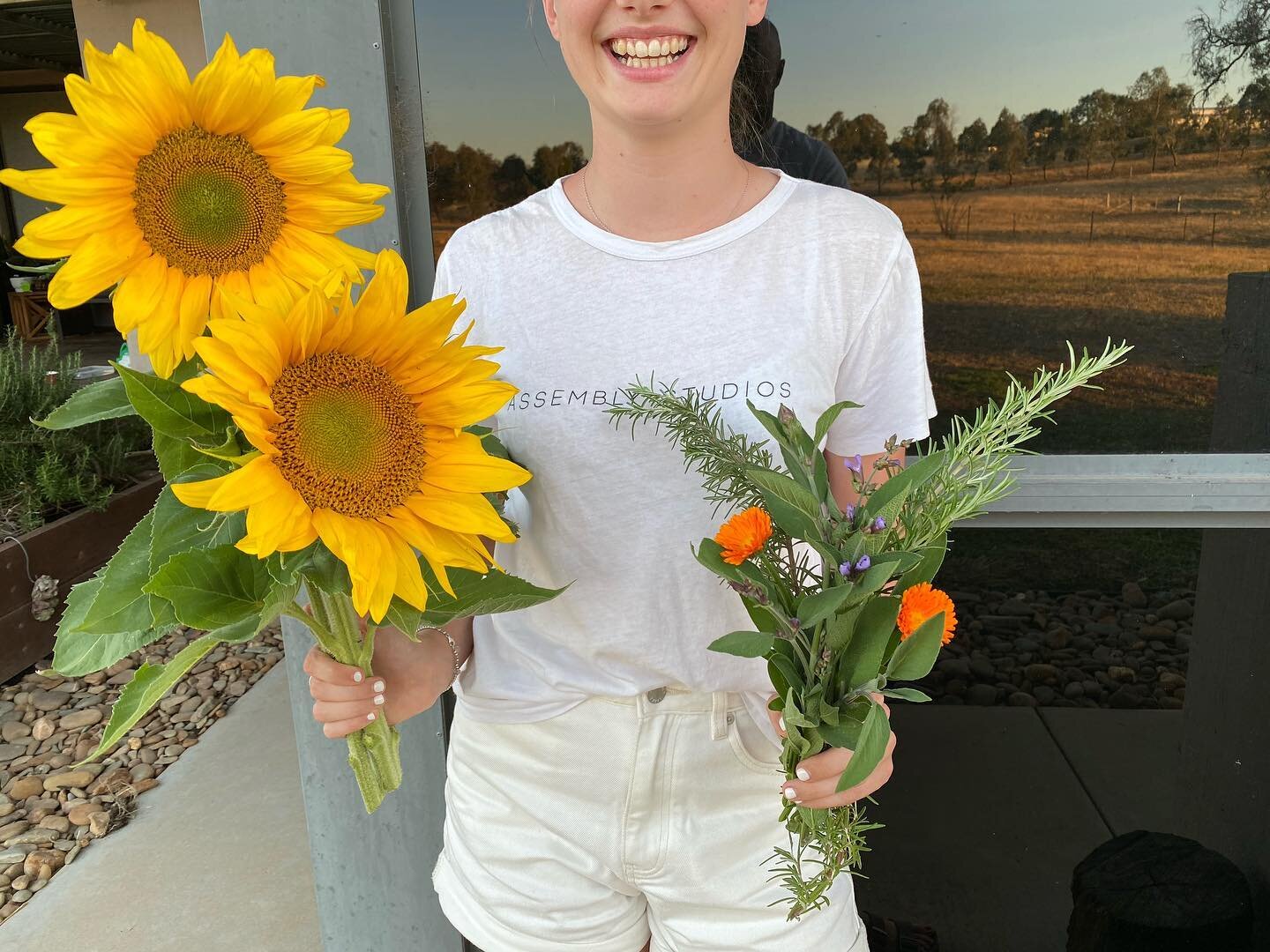When the chooks eat most of the veggies so you get excited about the flowers instead 🌻