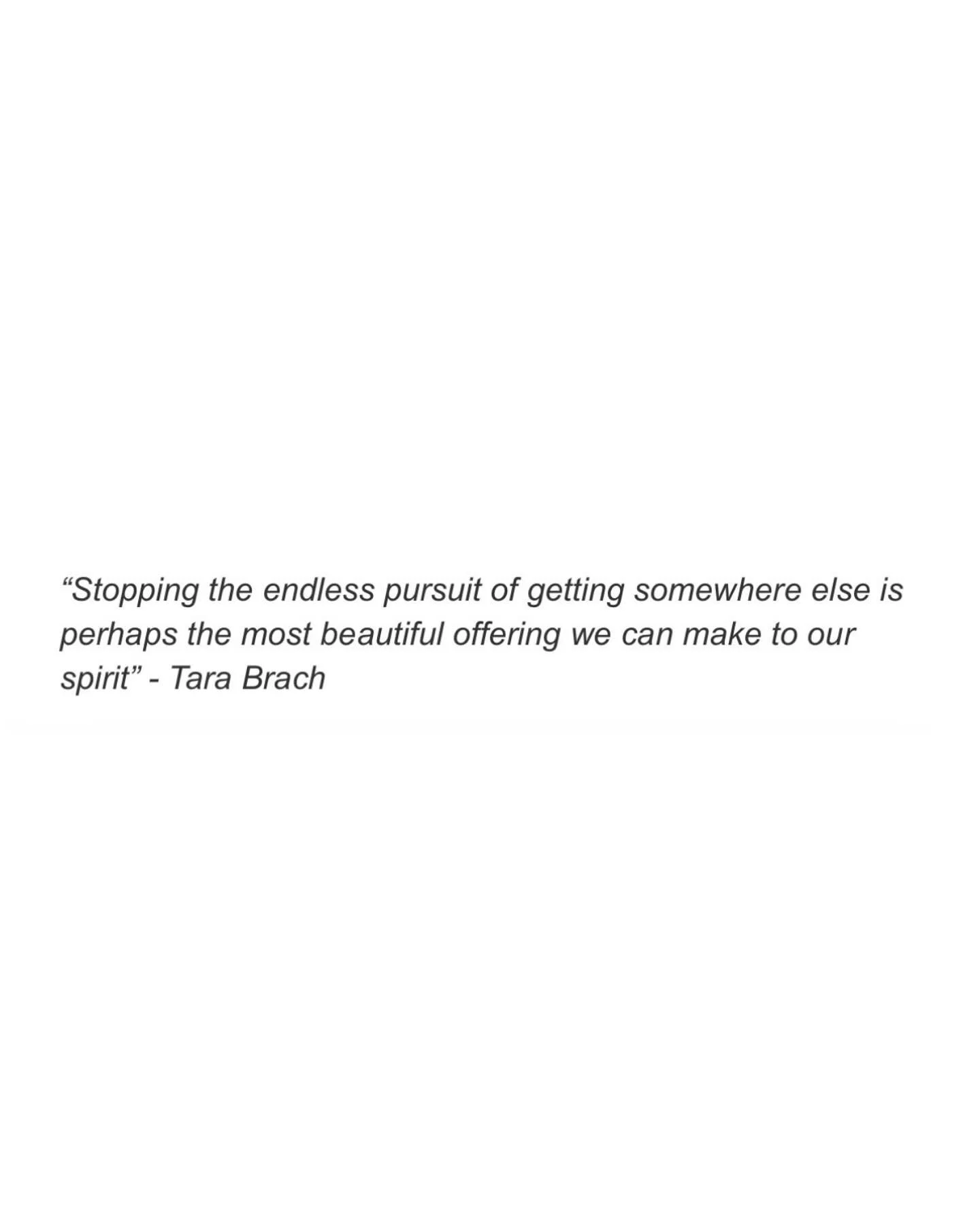 ✨