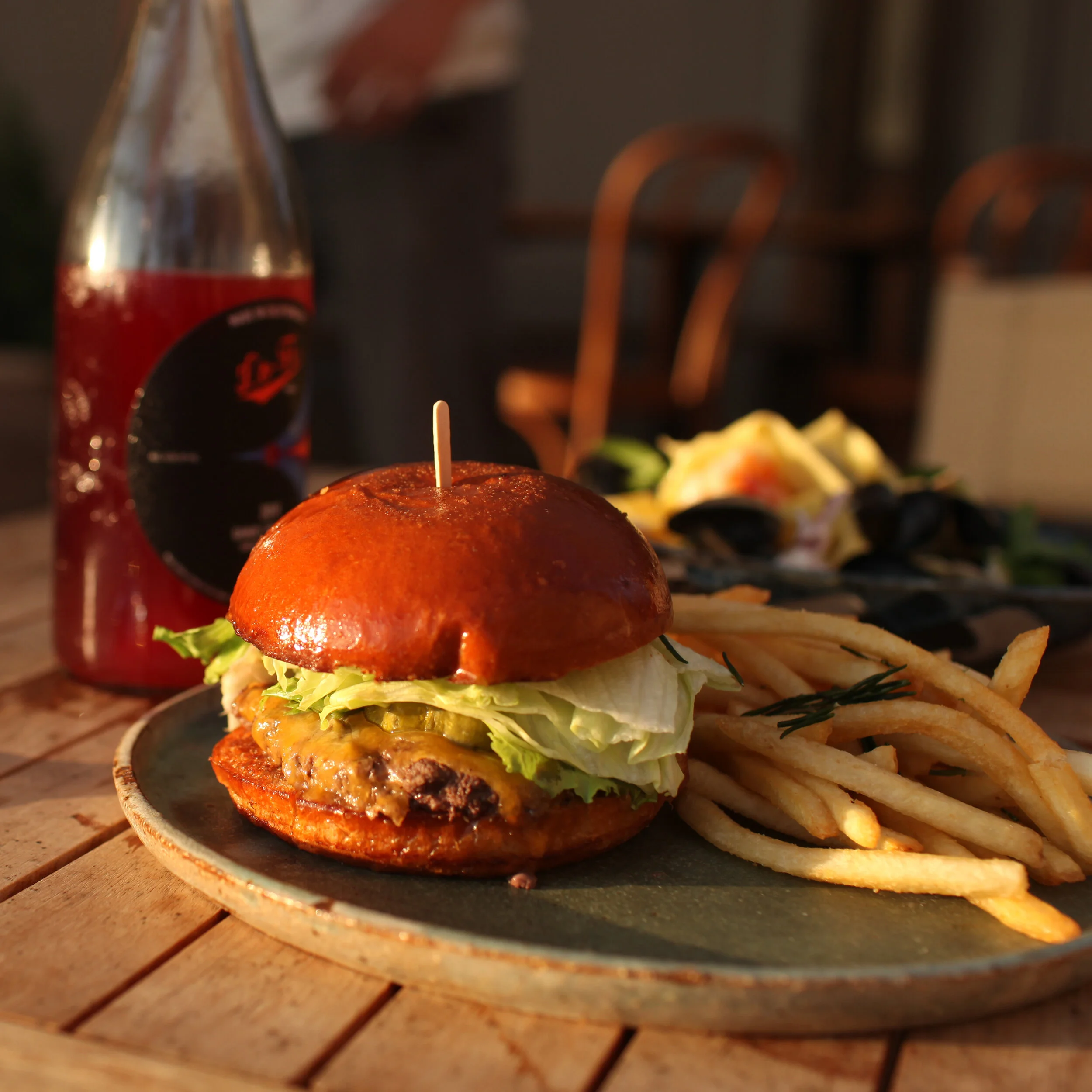 fig tree_burger en situ.jpg