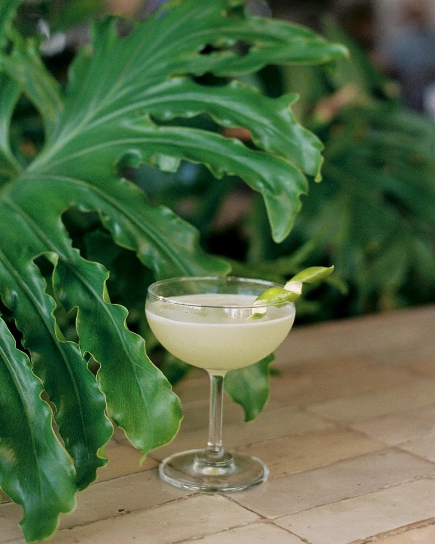 So fresh, so green, so weekend 🌿 cacha&ccedil;a, creme fra&icirc;che, lemongrass, lime
