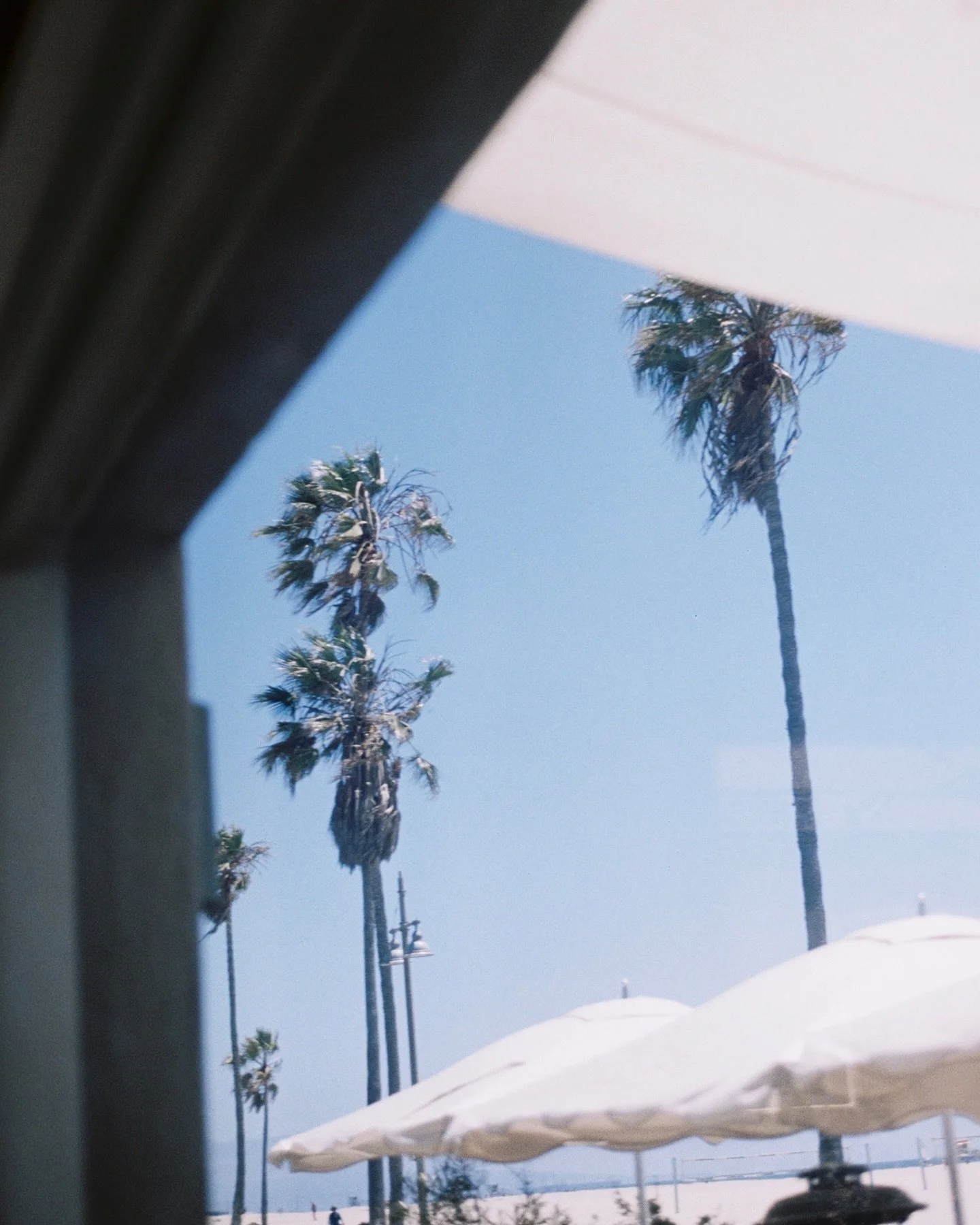 swaying into the week 🌴 we&rsquo;re open 8am - 9pm daily. reservation link in bio