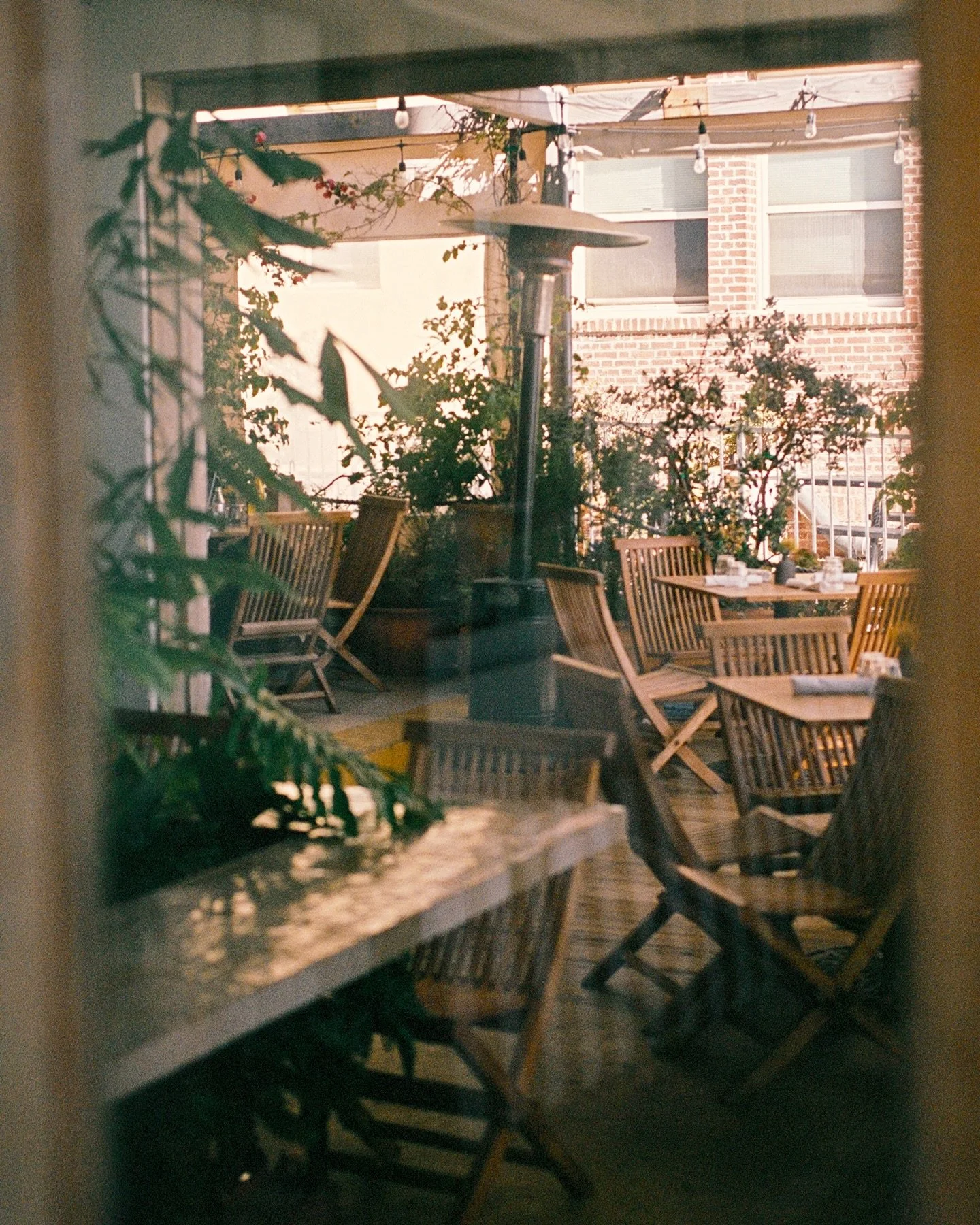 zen moments to start the week 🌱🍃🌞